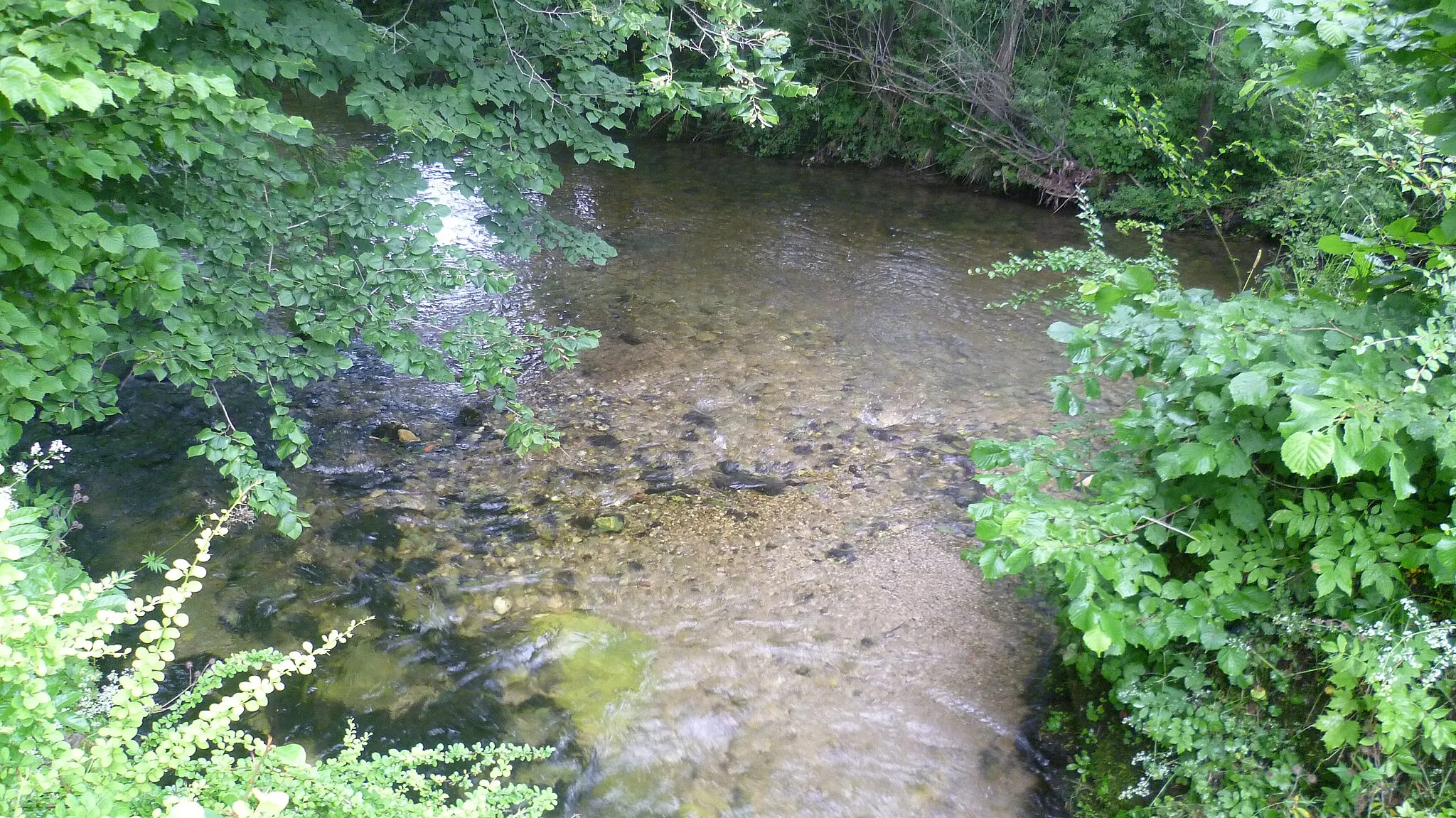 Photo showing: Zusammenfluss von Falkenseebach (vorne) und Großwaldbach (rechts) zur Roten Traun (links)