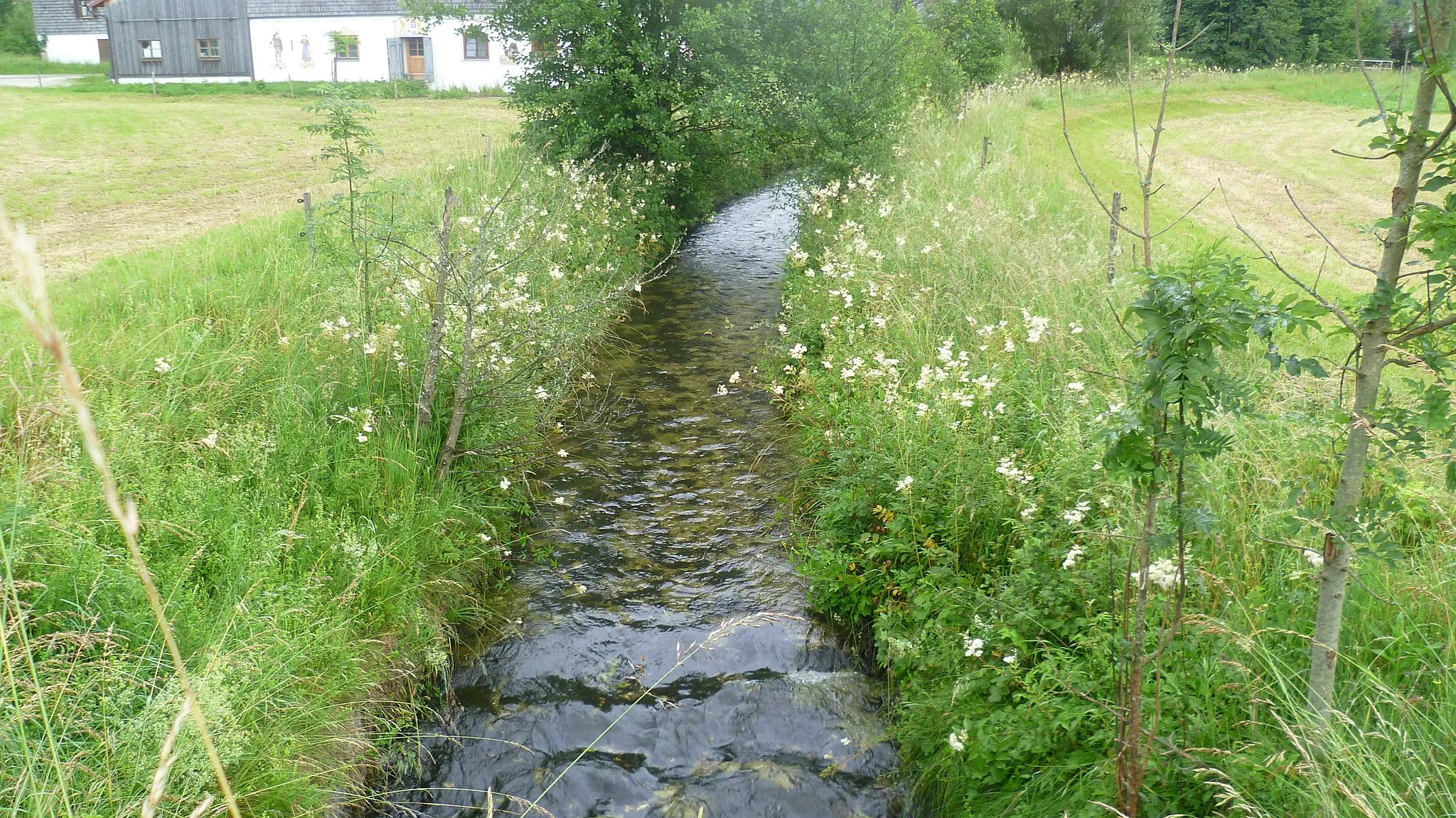 Photo showing: Der Falkenseebach bei Inzell