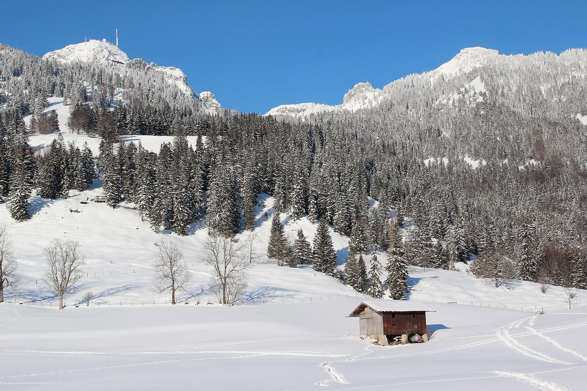 Photo showing: im Schnee by Niederkasseler