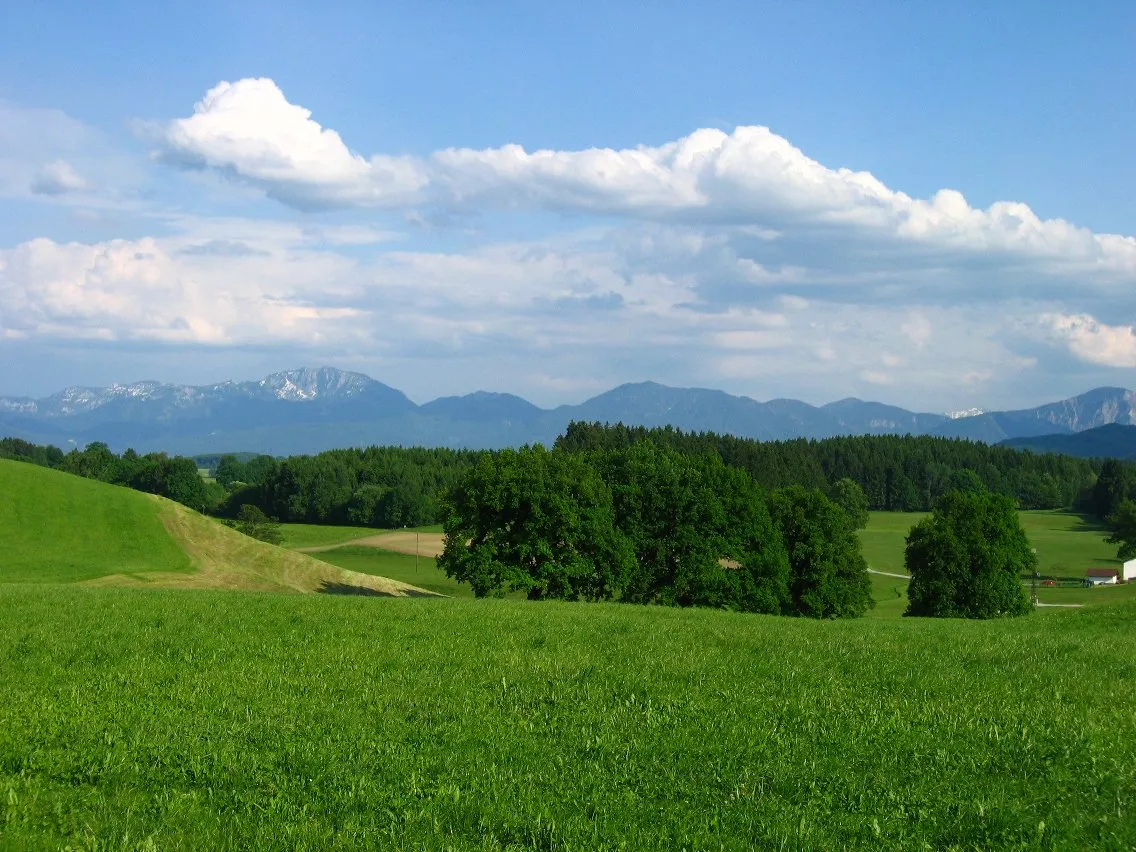 Photo showing: Tal des Steinbachs (Ostersee-Ach) südlich von Untersiffelhofen. Im Hintergrund die Benediktenwandgruppe.