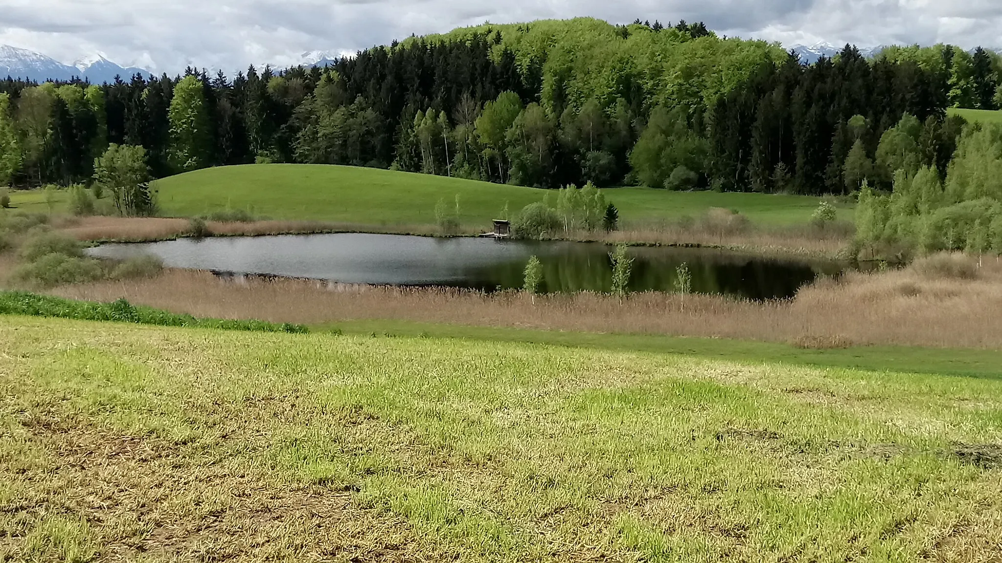 Photo showing: Beatweiher, Bavaria