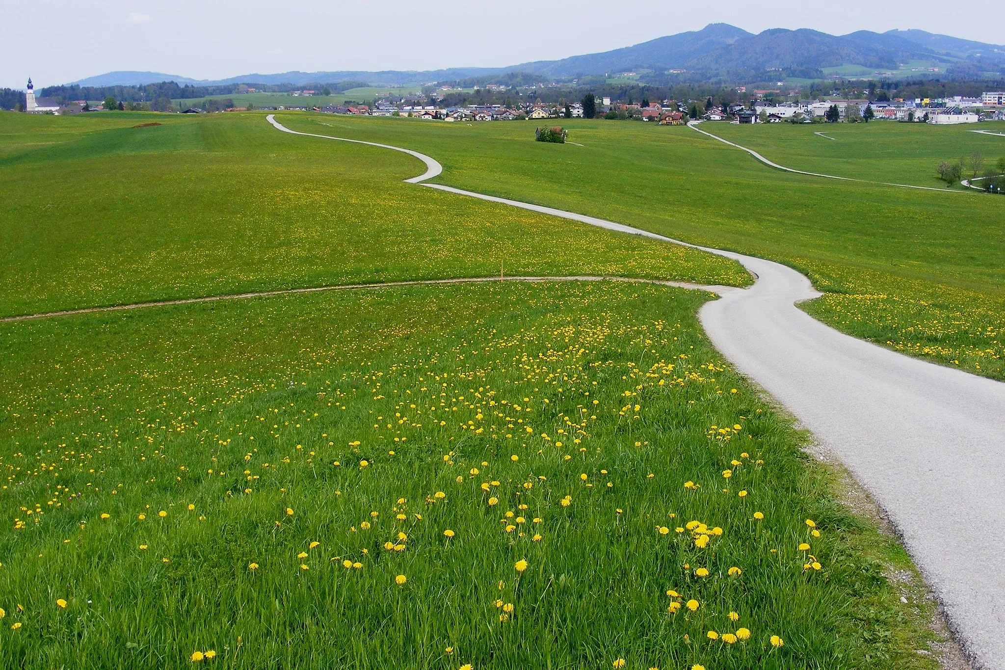 Photo showing: Blick Richtung Eugendorf (südlicher Teil mit Gewerbegebiet)