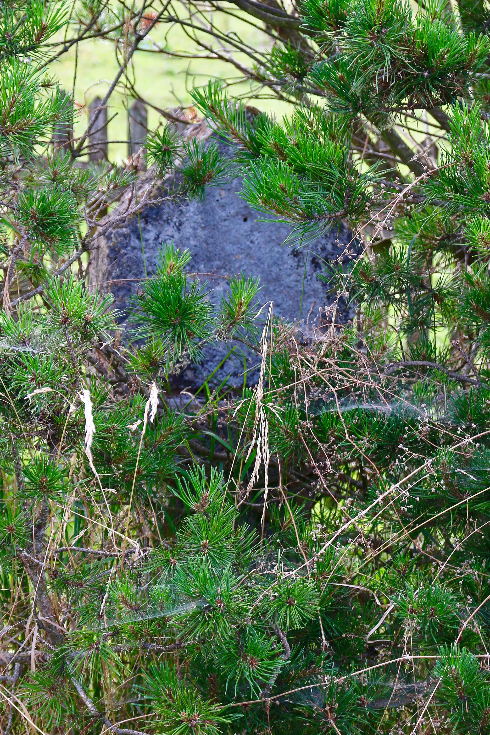 Photo showing: Bildstock in Berg bei Oberhausen aus Tuffstein.