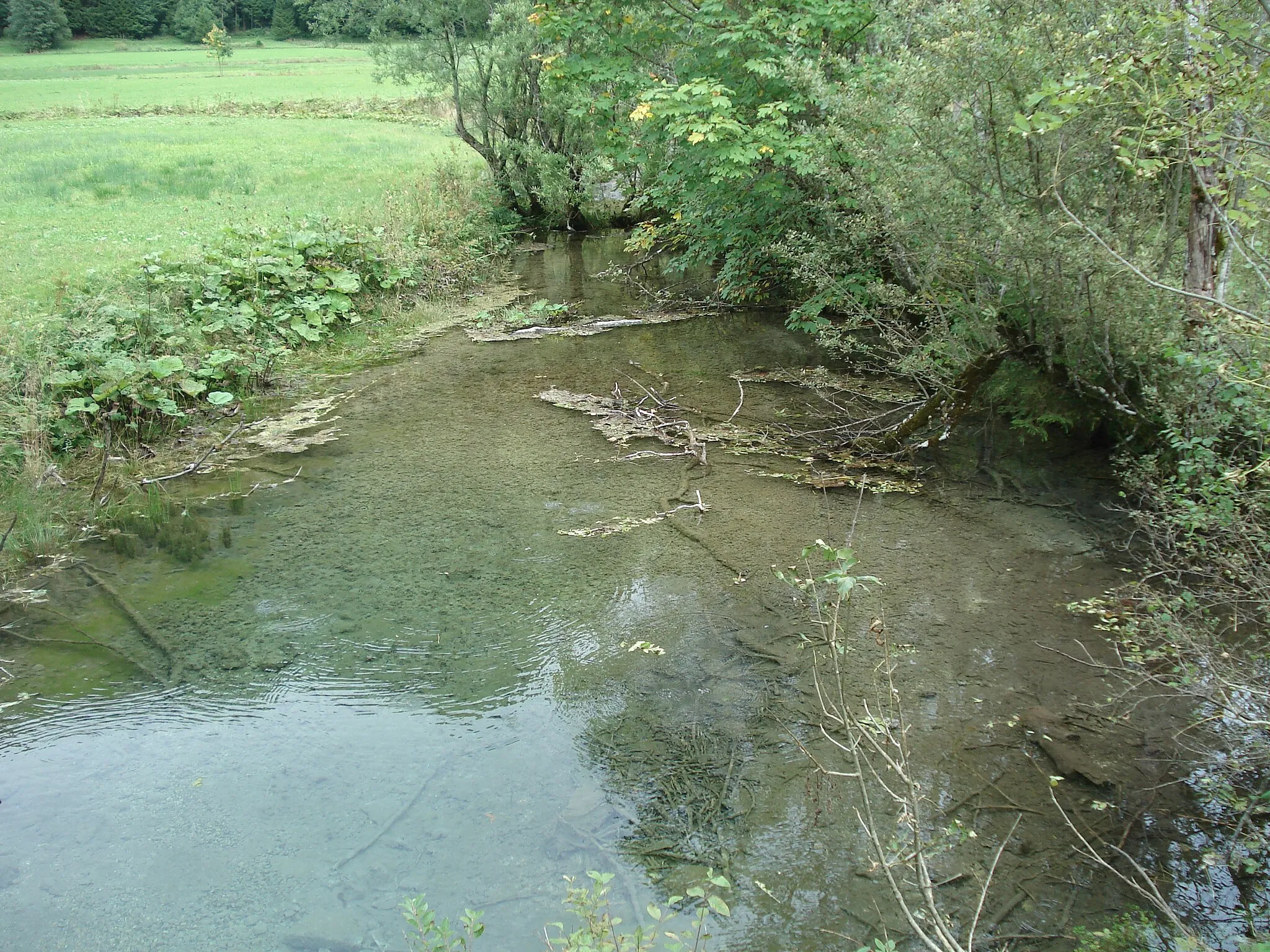 Photo showing: eine der Kleinen Ammerquellen