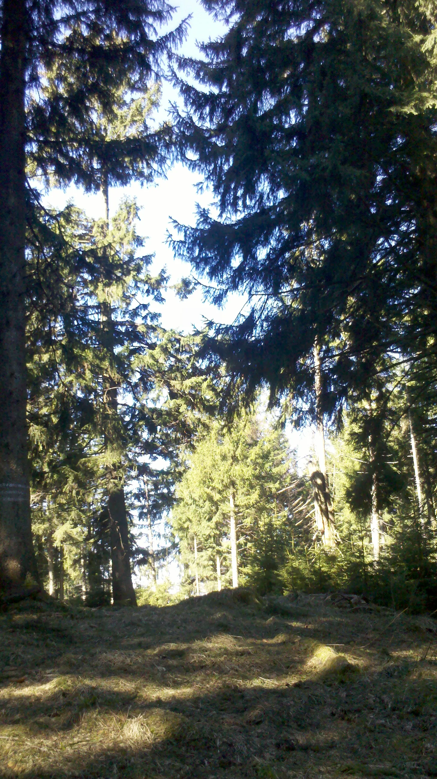 Photo showing: Kogelkopf, summit, Bavarian Prealps, Germany