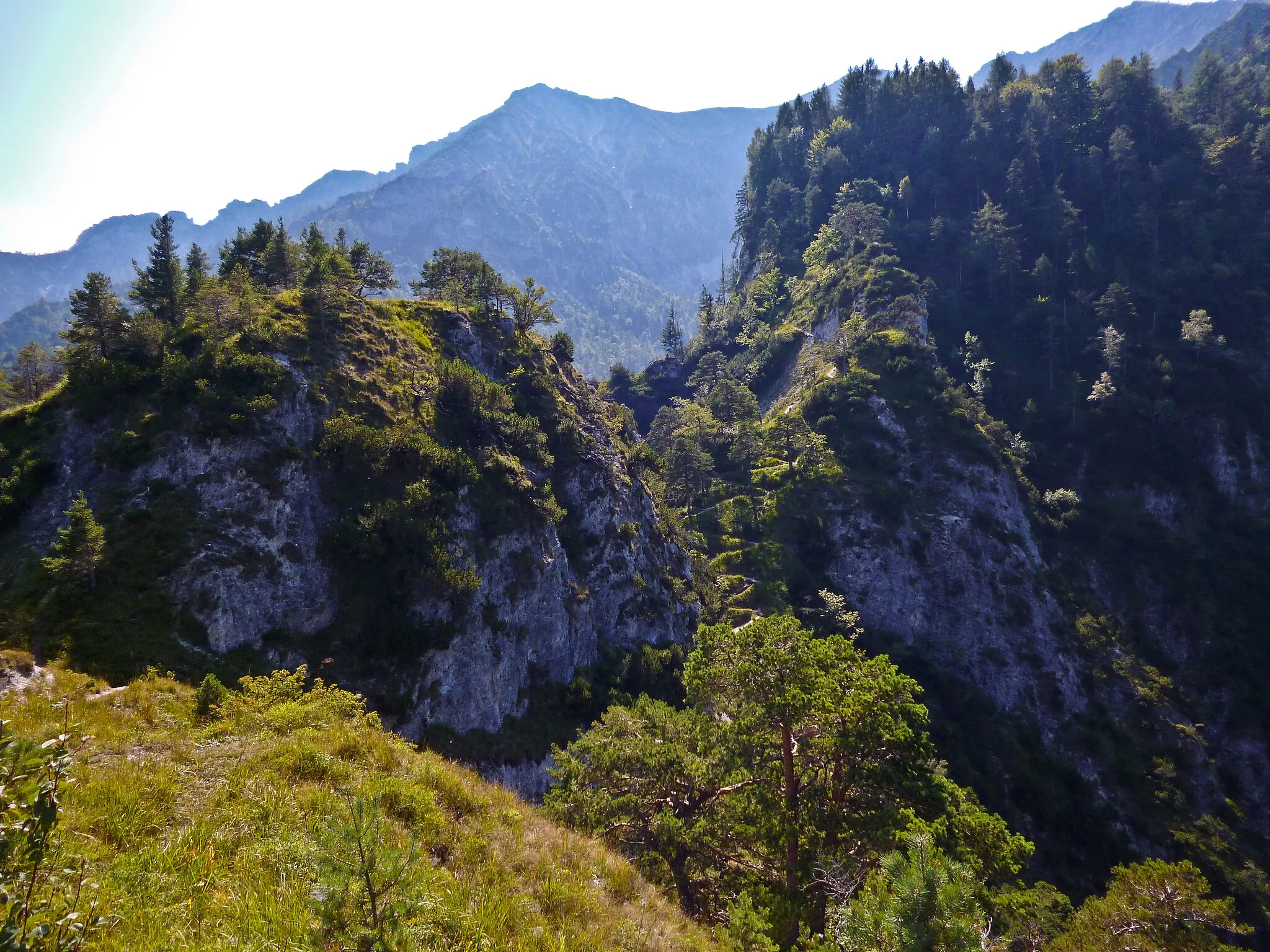 Photo showing: Blick vom Dötzenkopfgipfelkreuz auf die zum Dötzenkopf zählende, sechs Meter höhere Kuppe