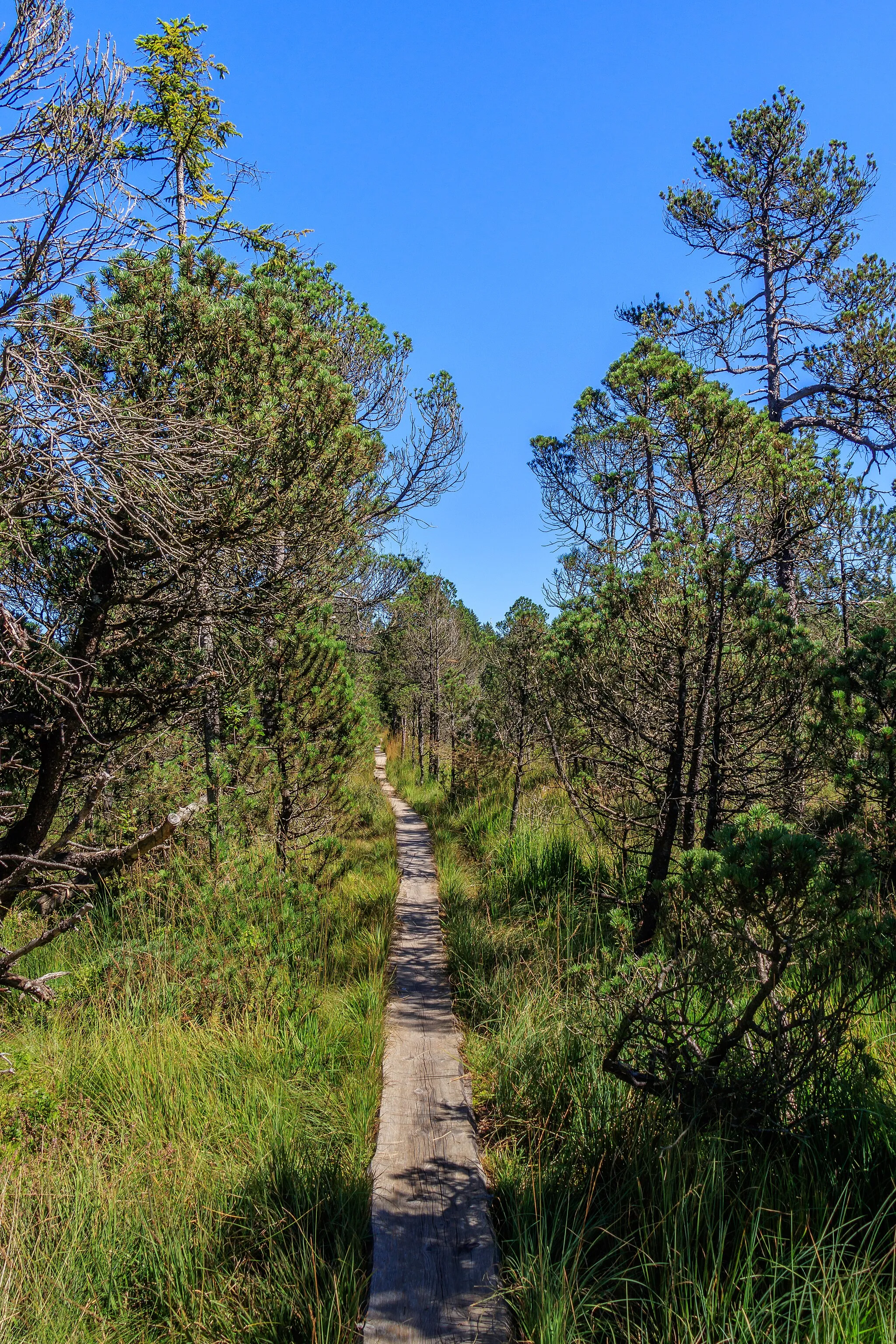 Photo showing: This is a picture of the protected area listed at WDPA under the ID