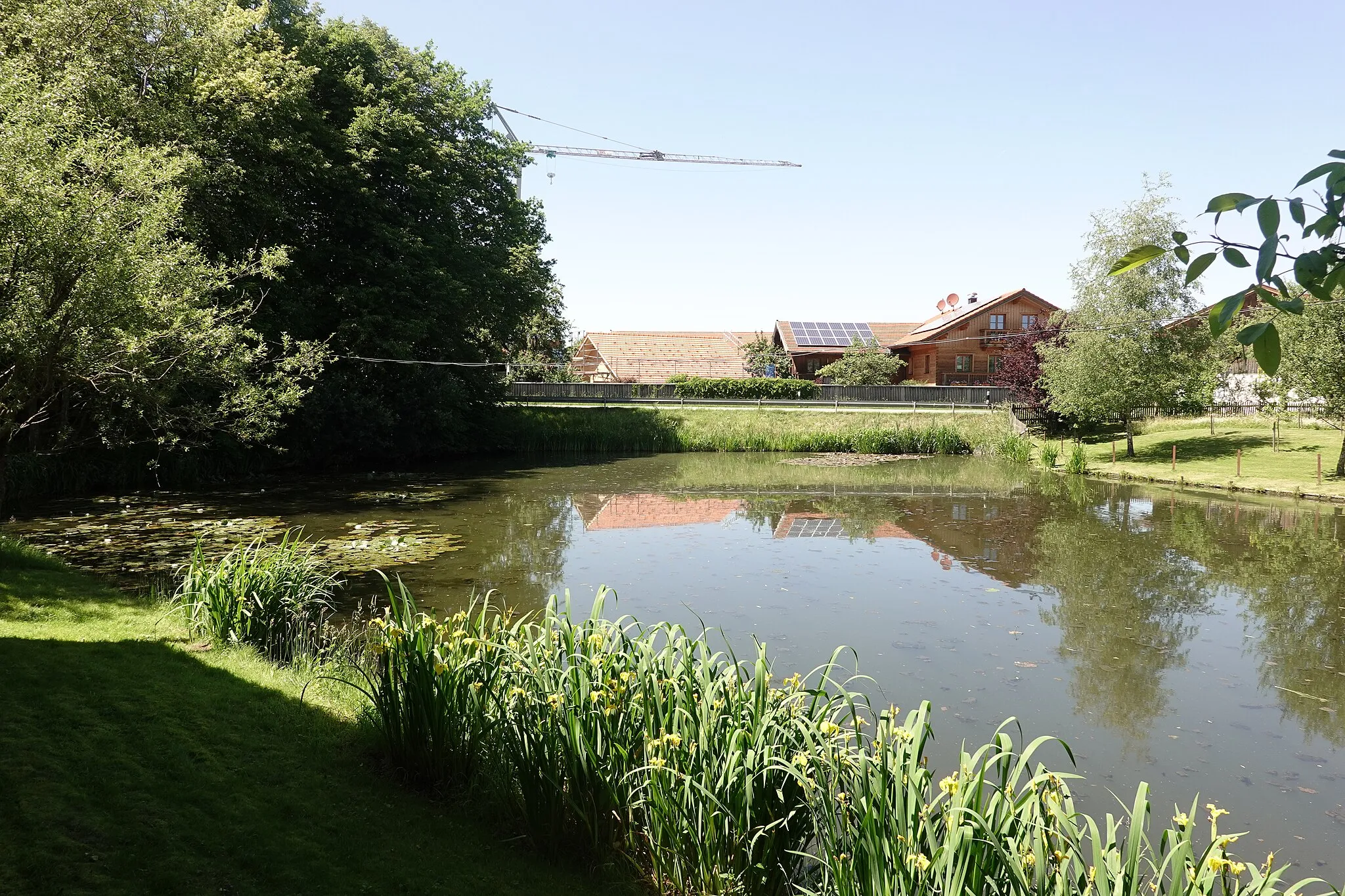 Photo showing: Weiher in Endlhausen