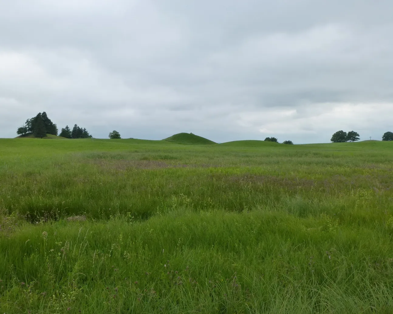 Photo showing: Tumuli bei der Hirschbergalm mit Toteisloch. Da weder eine künstliche Aufschüttung vorliegt und auch nichts über Gräber unter diesen Hügeln bekannt ist, werden sie regional als Drumlins bezeichnet, was wohl die zutreffendere Bezeichnung ist. Blick von Osten Richtung Hirschbergalm - Pähl