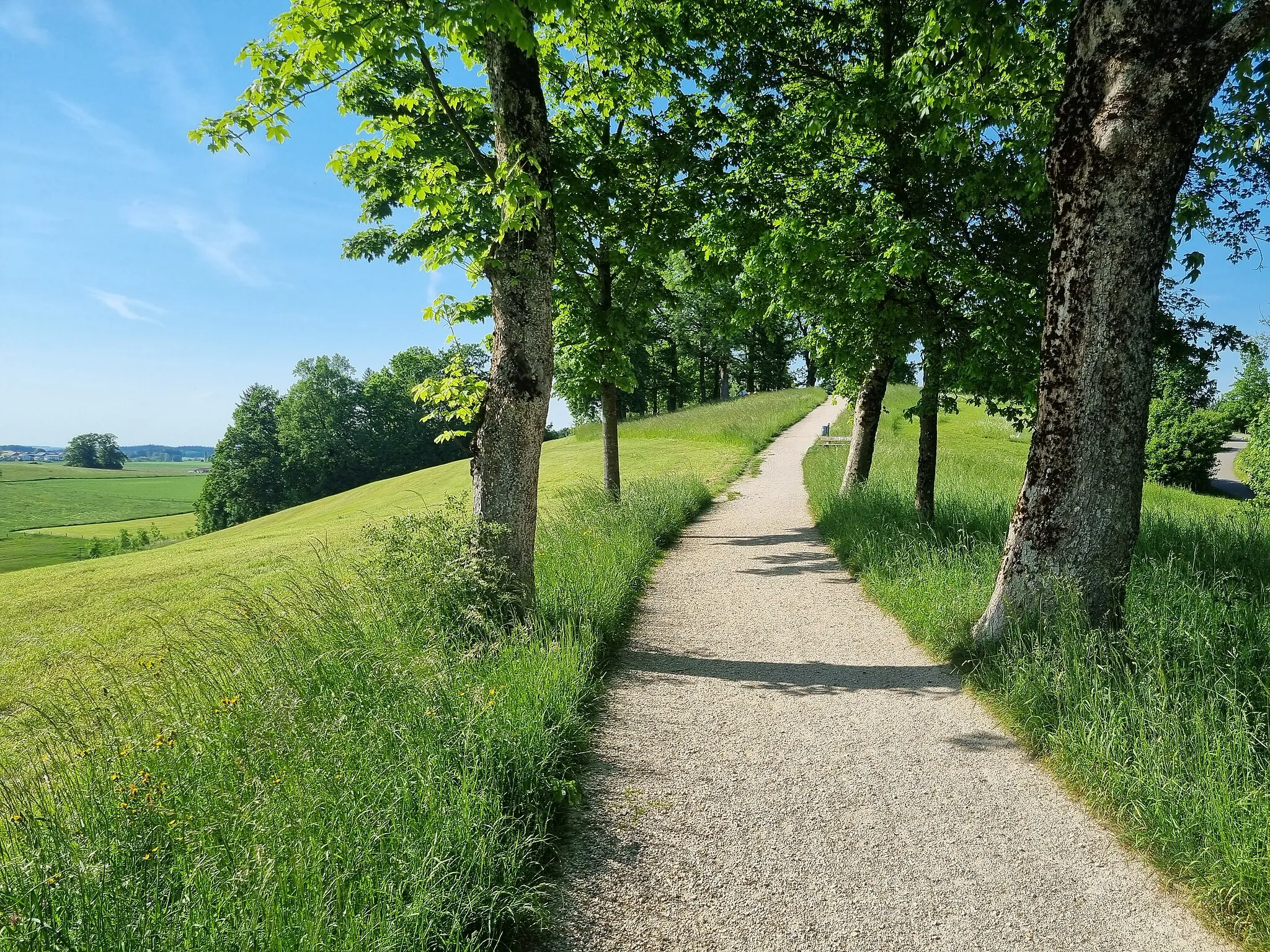 Photo showing: Der Fußweg auf den Guntramshügel in Traunstein auf der Südseite