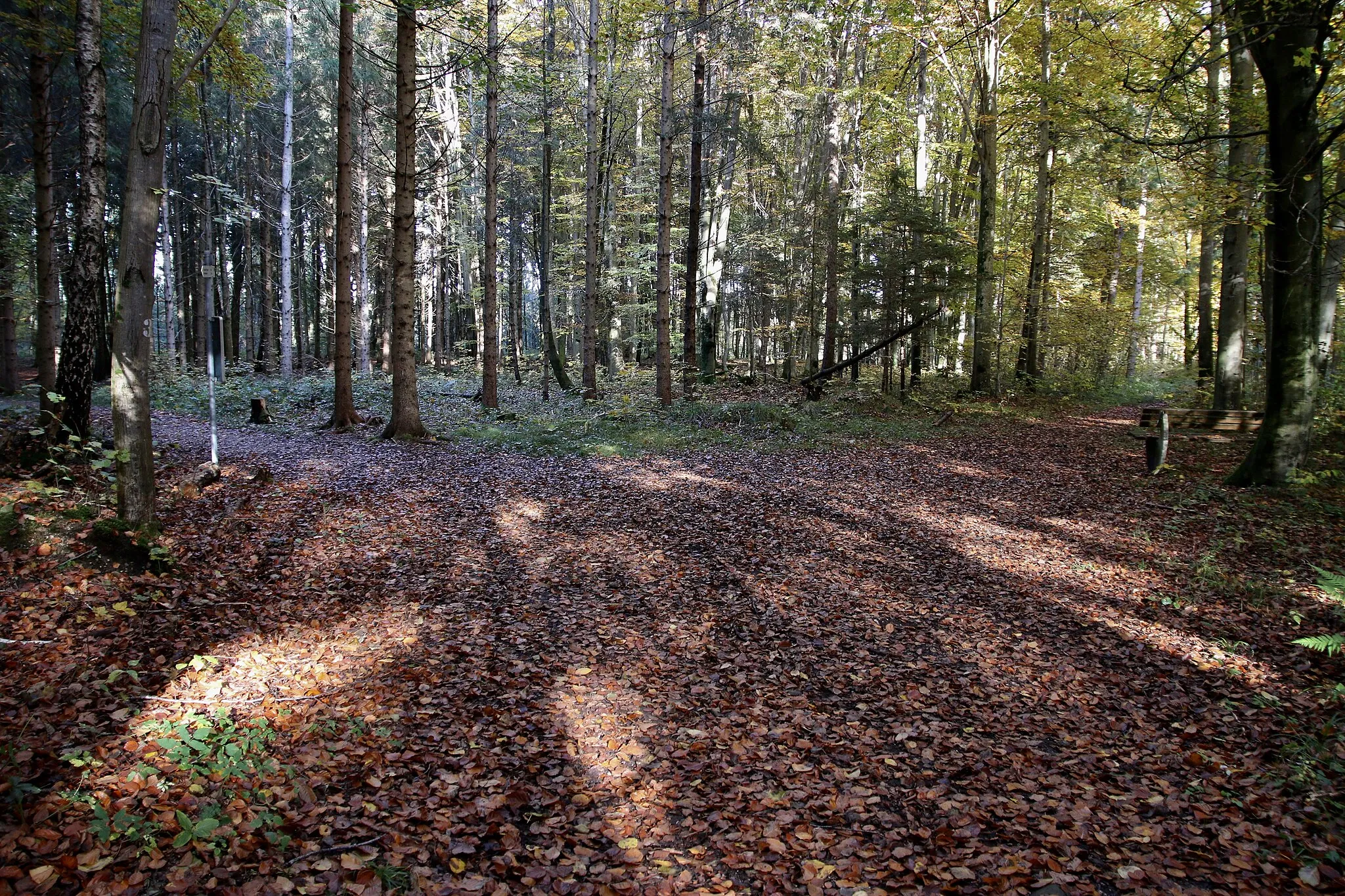 Photo showing: Die Gögerlburg war etwa 1ha groß.