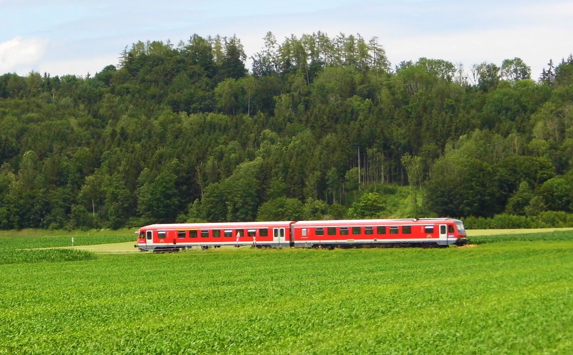 Photo showing: Der "Filzenexpress" fährt Richtung Ebersberg (links), von Steinhöring kommend, kurz vor Neuhausen, am 30.Juni 2020