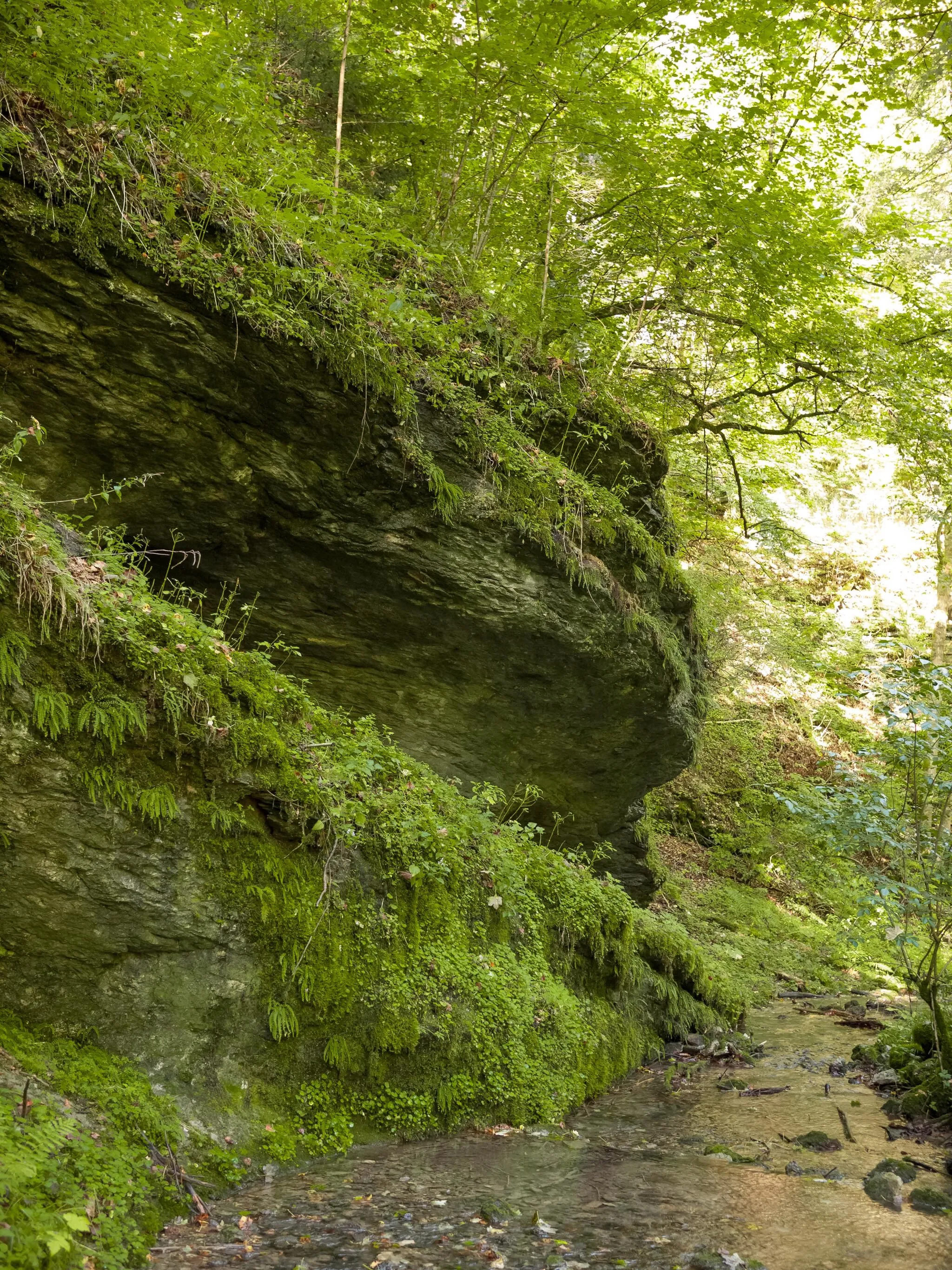 Photo showing: Rockface an creek in the Leidingshofer Valley