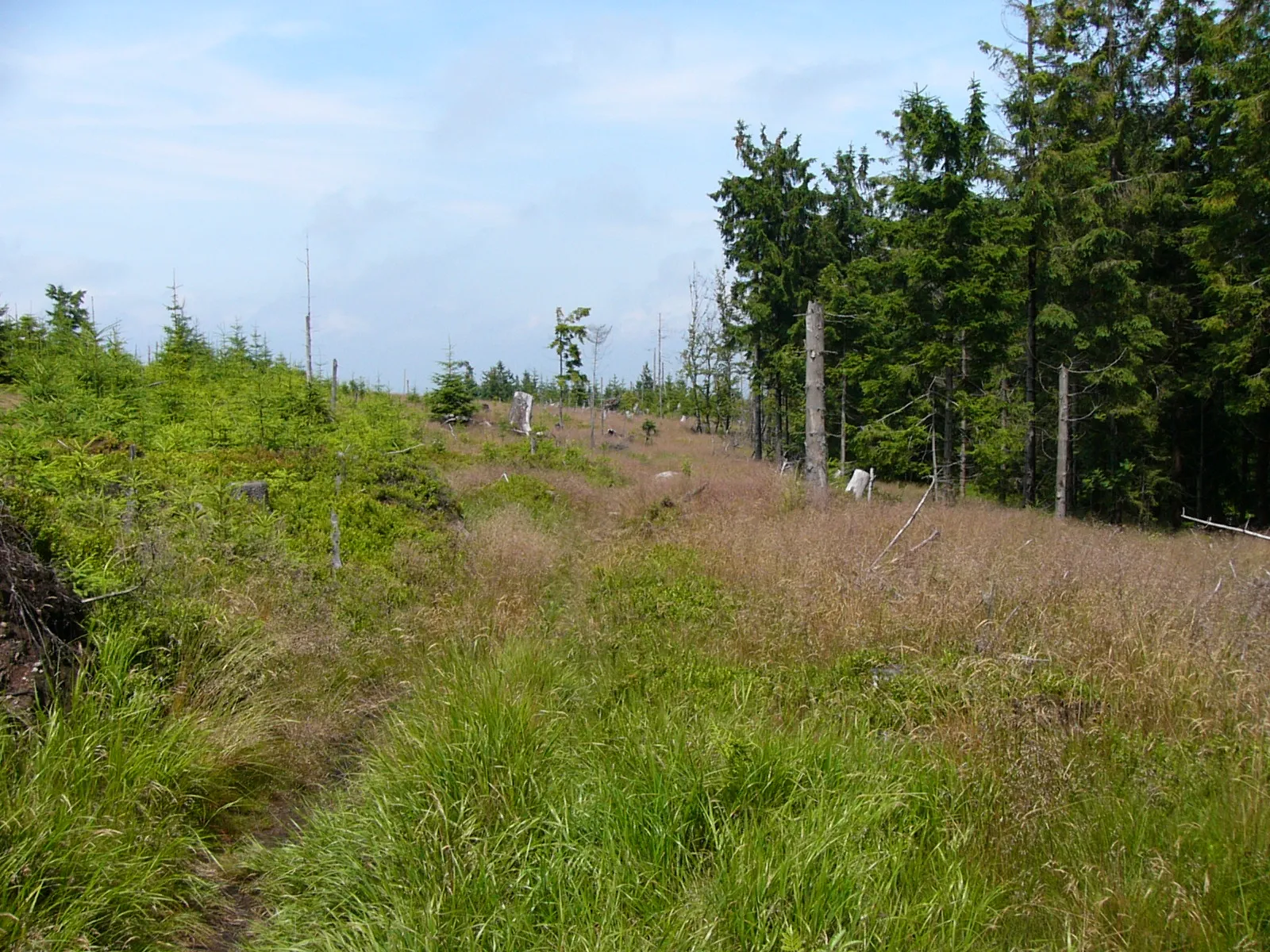 Photo showing: Hoher Stein, Felsformation auf dem Bergkopf (Waldsteinzug, Fichtelgebirge)