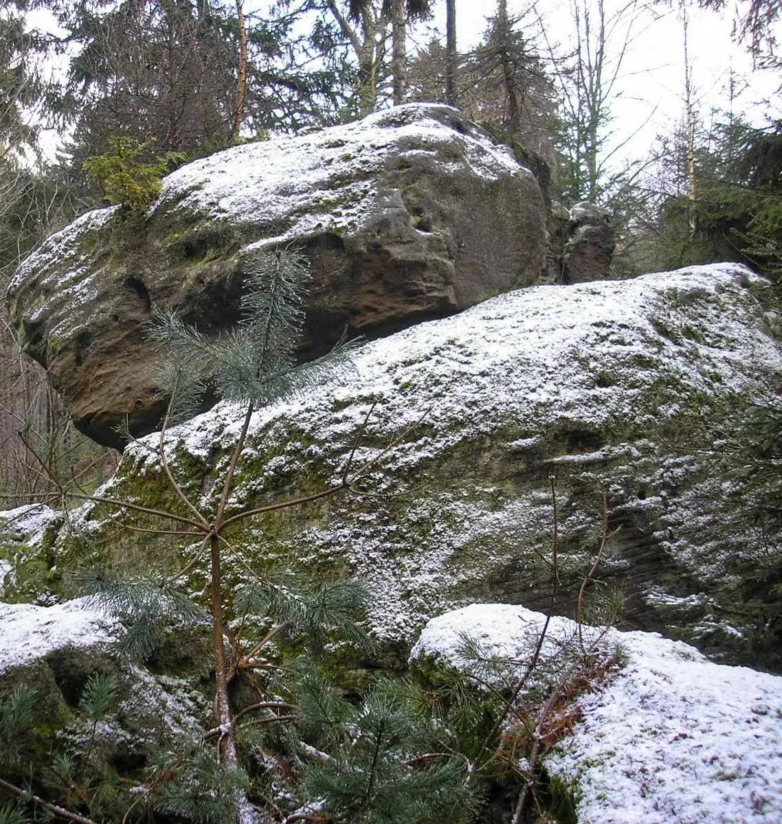 Photo showing: Der Baalstein in den Zeilbergen. Der Felsen liegt schon in Oberfranken, knapp außerhalb des Naturparks. Der Hauptfelsen