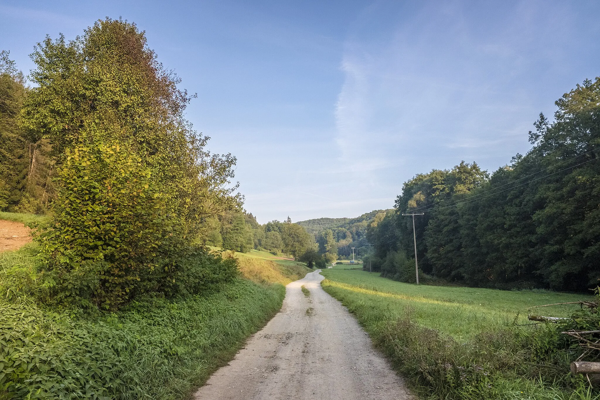 Photo showing: Am Weg von Weismain Richtung Kleiner Kordigast