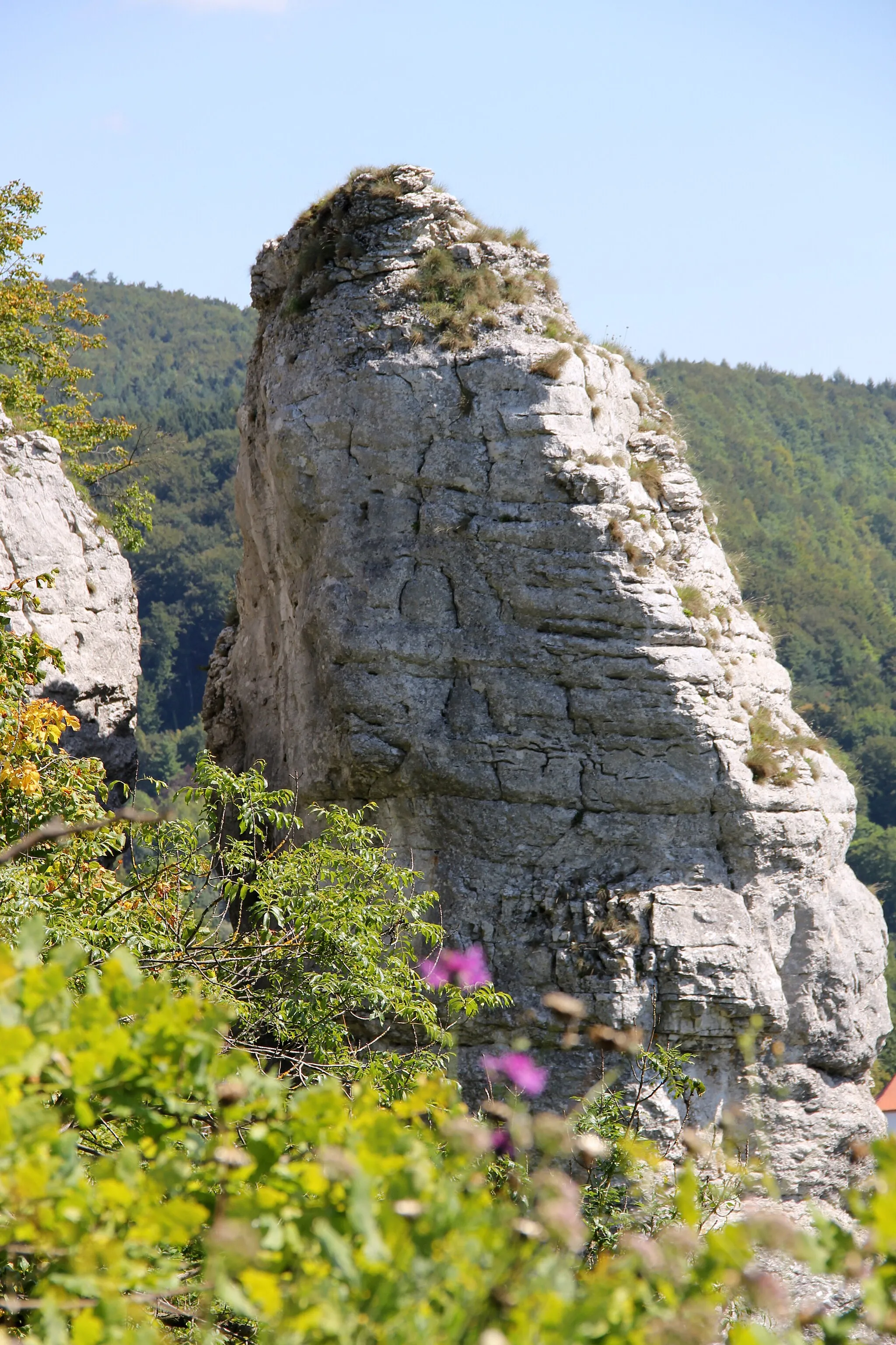 Photo showing: Streitberg. Felsen:Hunnenstein?