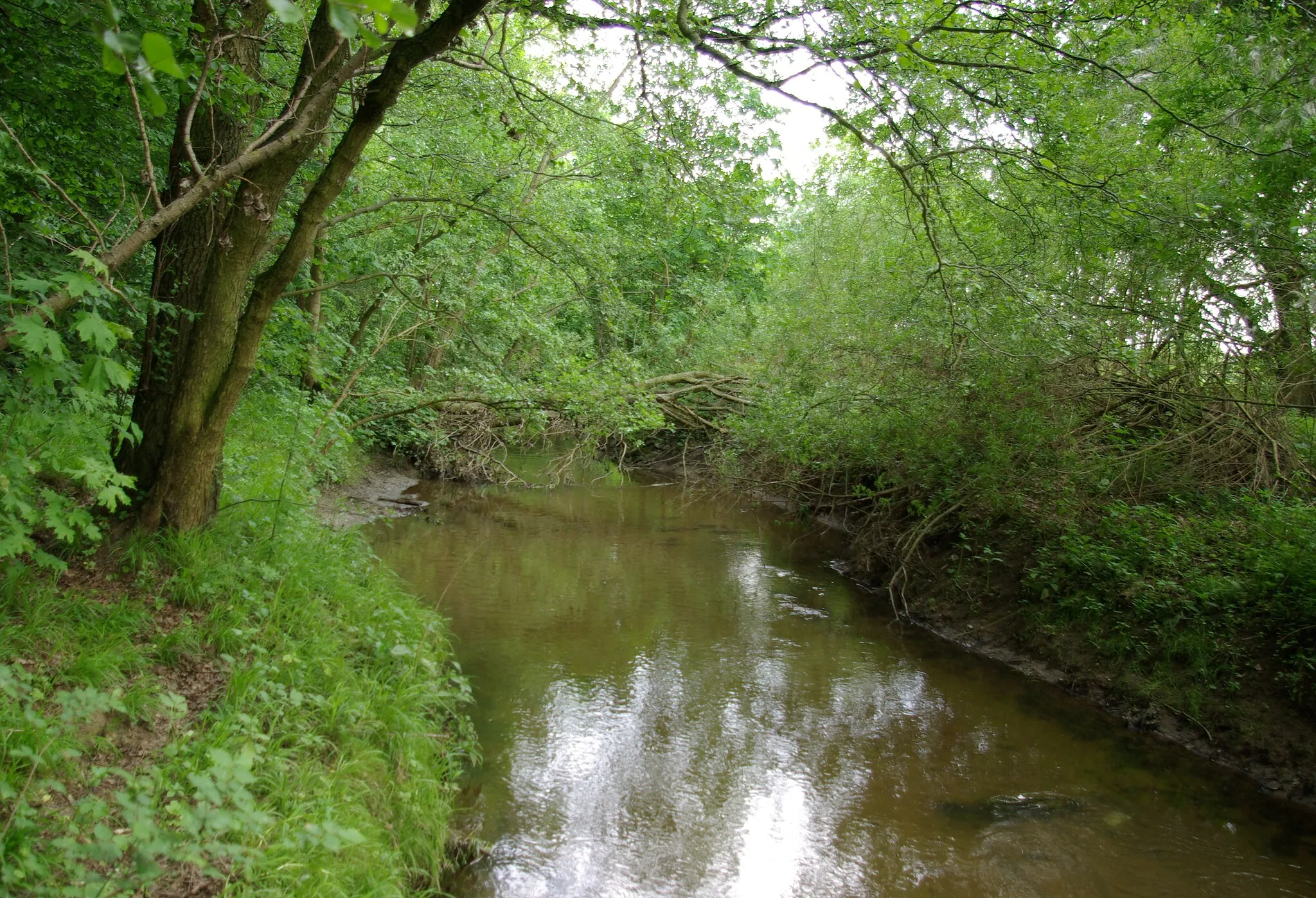 Photo showing: Der Fluss Gründlach westlich von Großgründlach