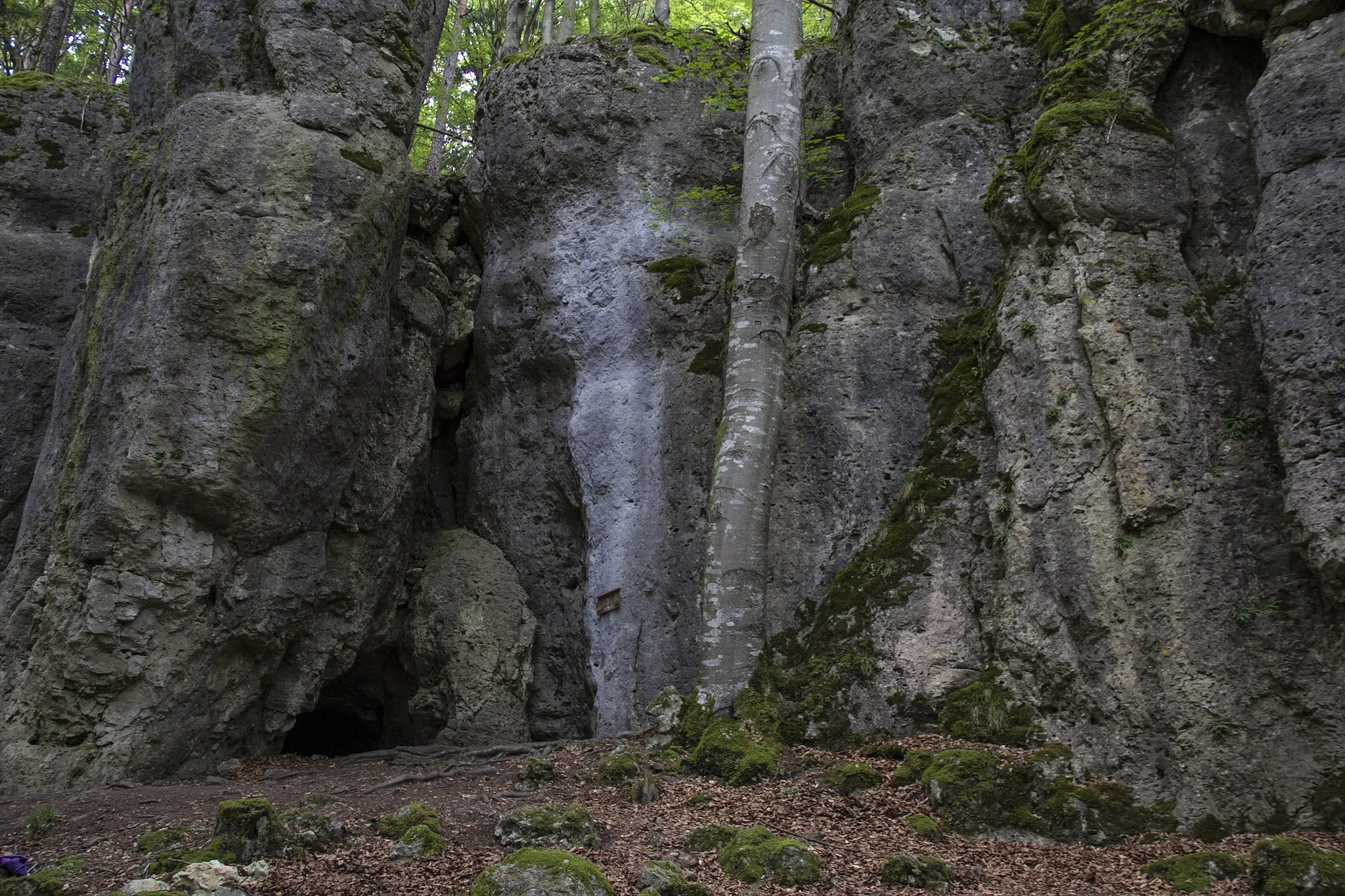 Photo showing: Saalburg, Plech, Geotop, Naturpark Fränkische Schweiz-Veldensteiner Forst