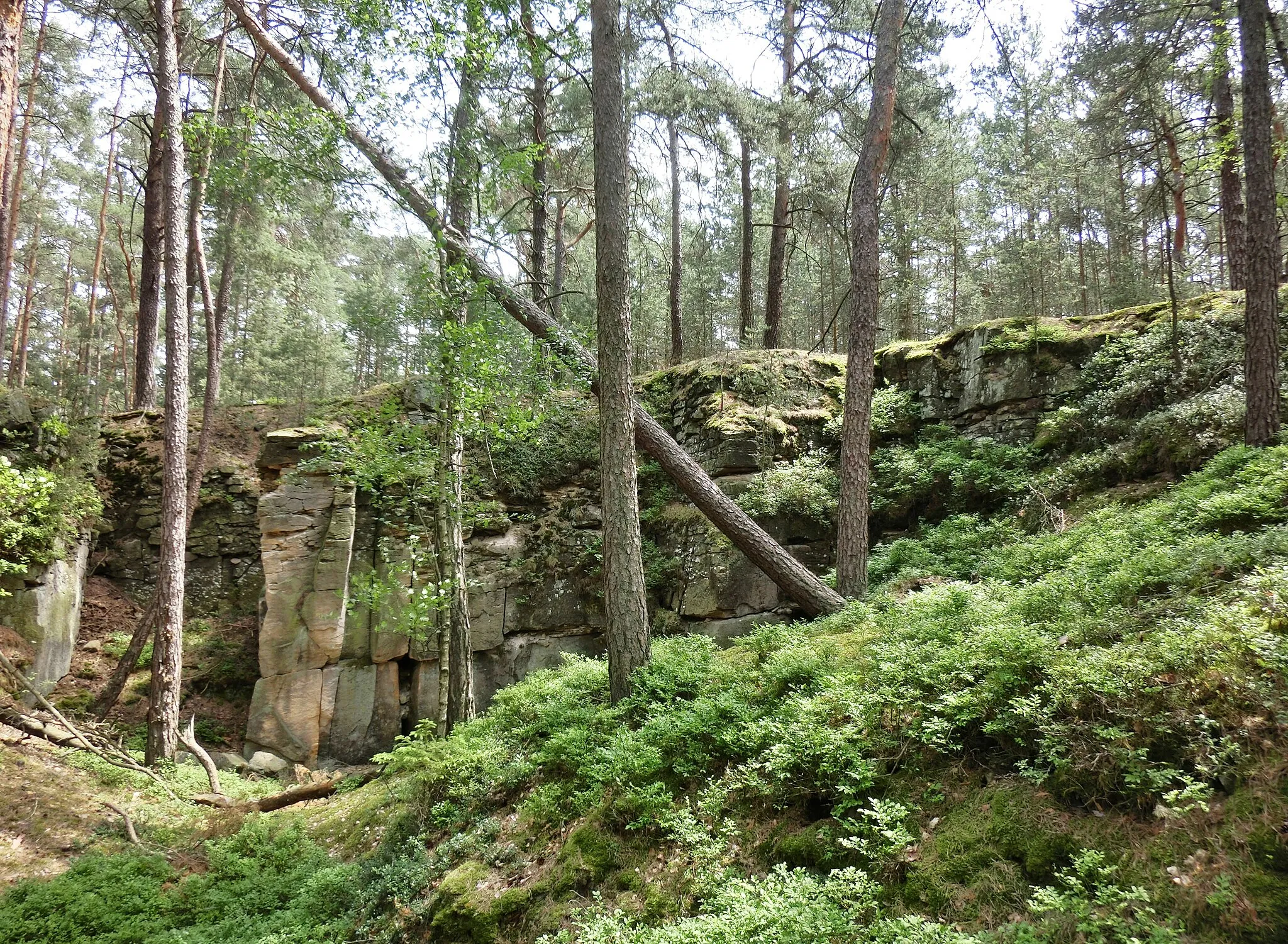 Photo showing: Steinbruch auf dem Höllberg