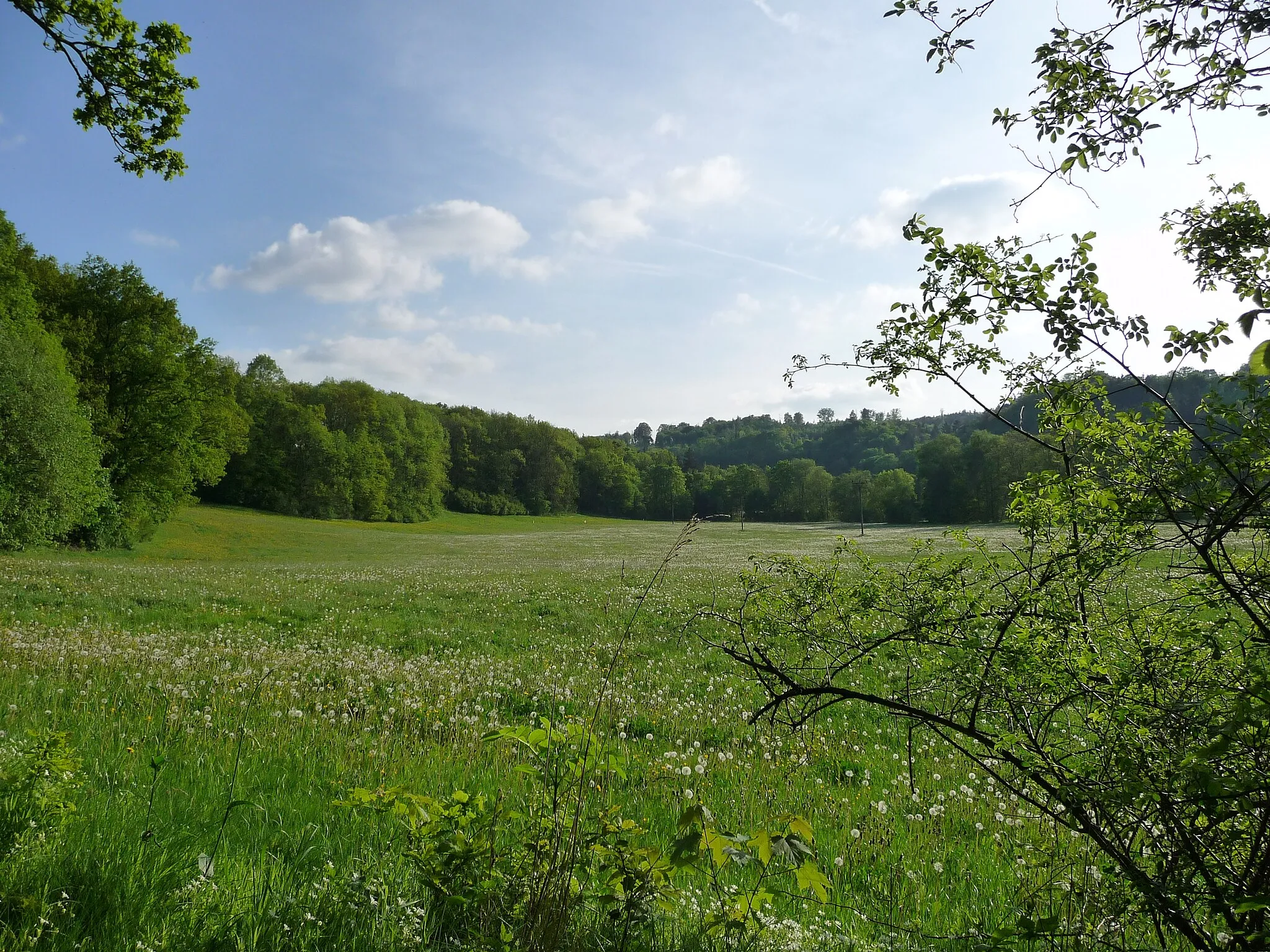 Photo showing: Elstertal bei Weischlitz