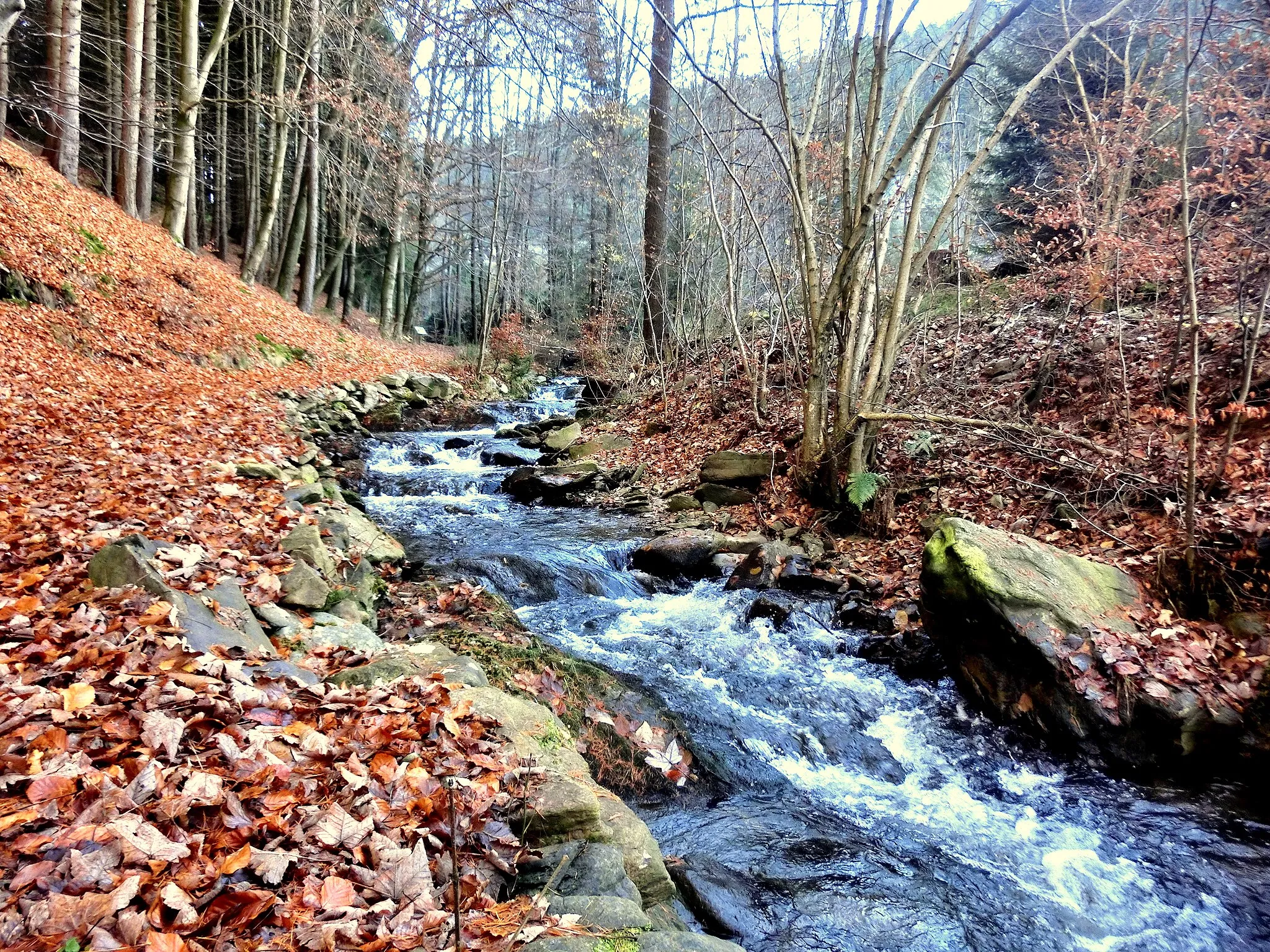 Photo showing: Warme Steinach