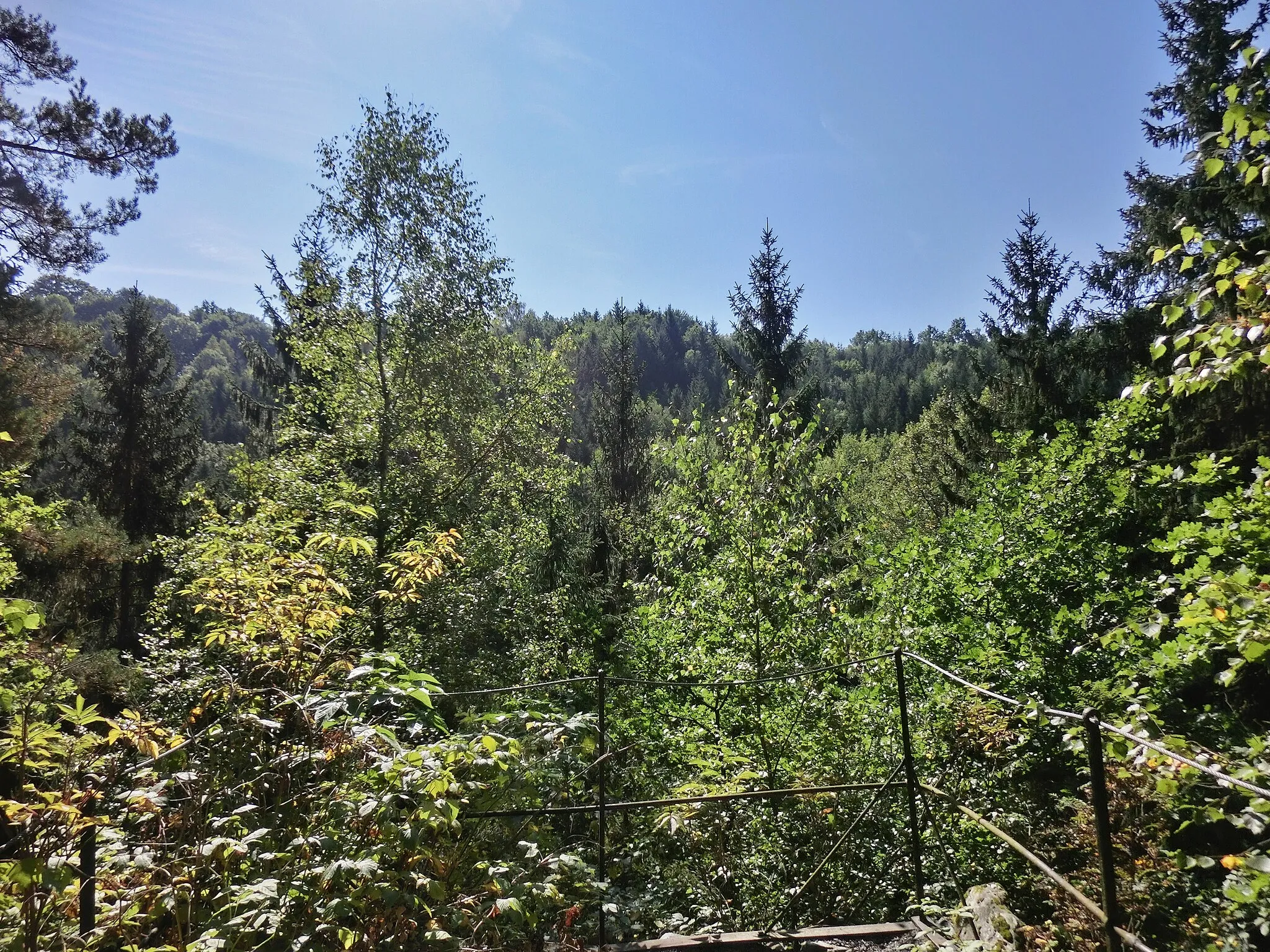 Photo showing: Aussichtsfelsen Ilsestein