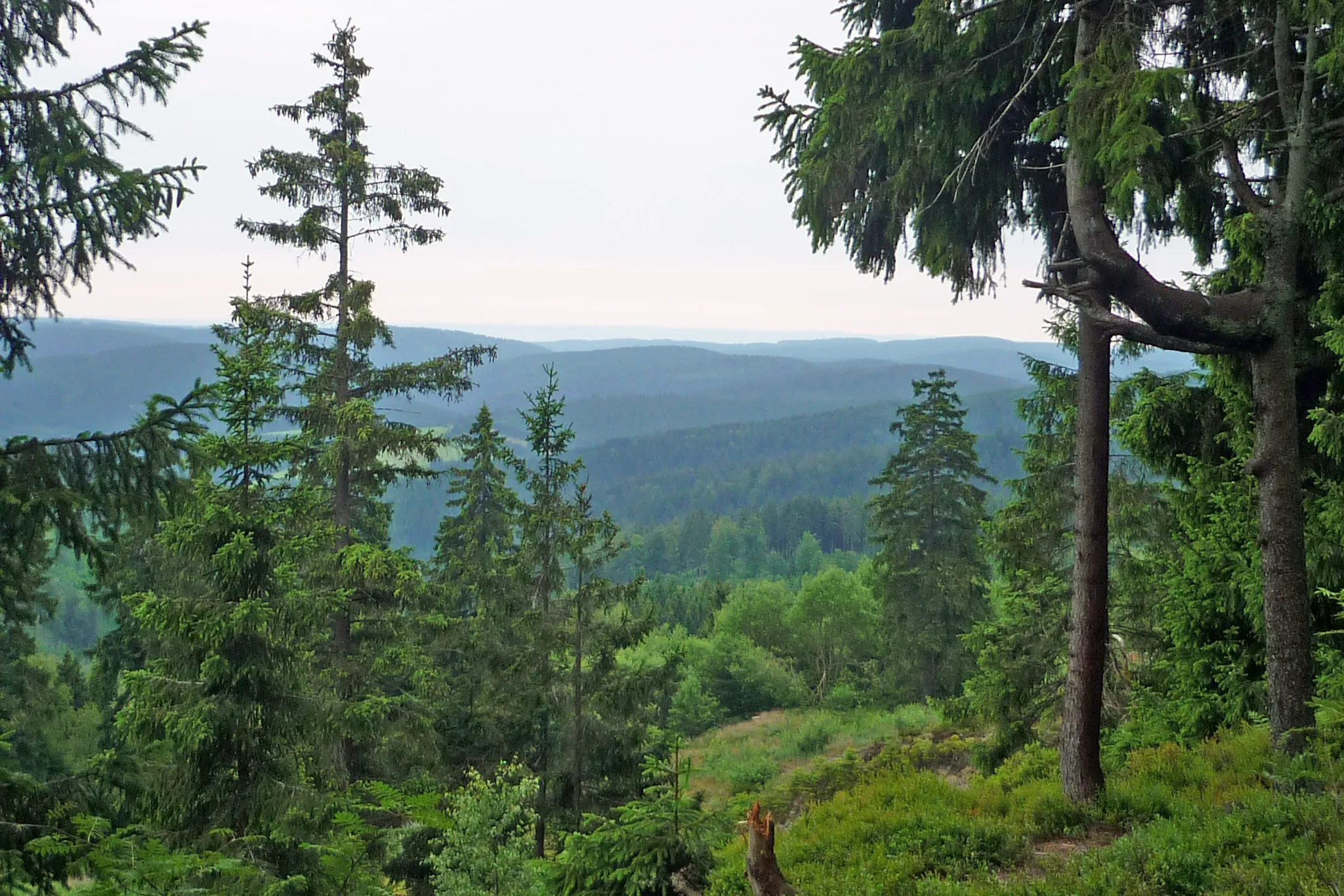 Photo showing: Blick vom Rennsteig am Brand bei Spechtsbrunn am Rennsteig