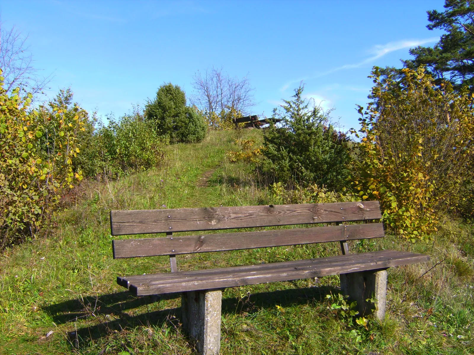 Photo showing: Gipfel der Hohen Leite