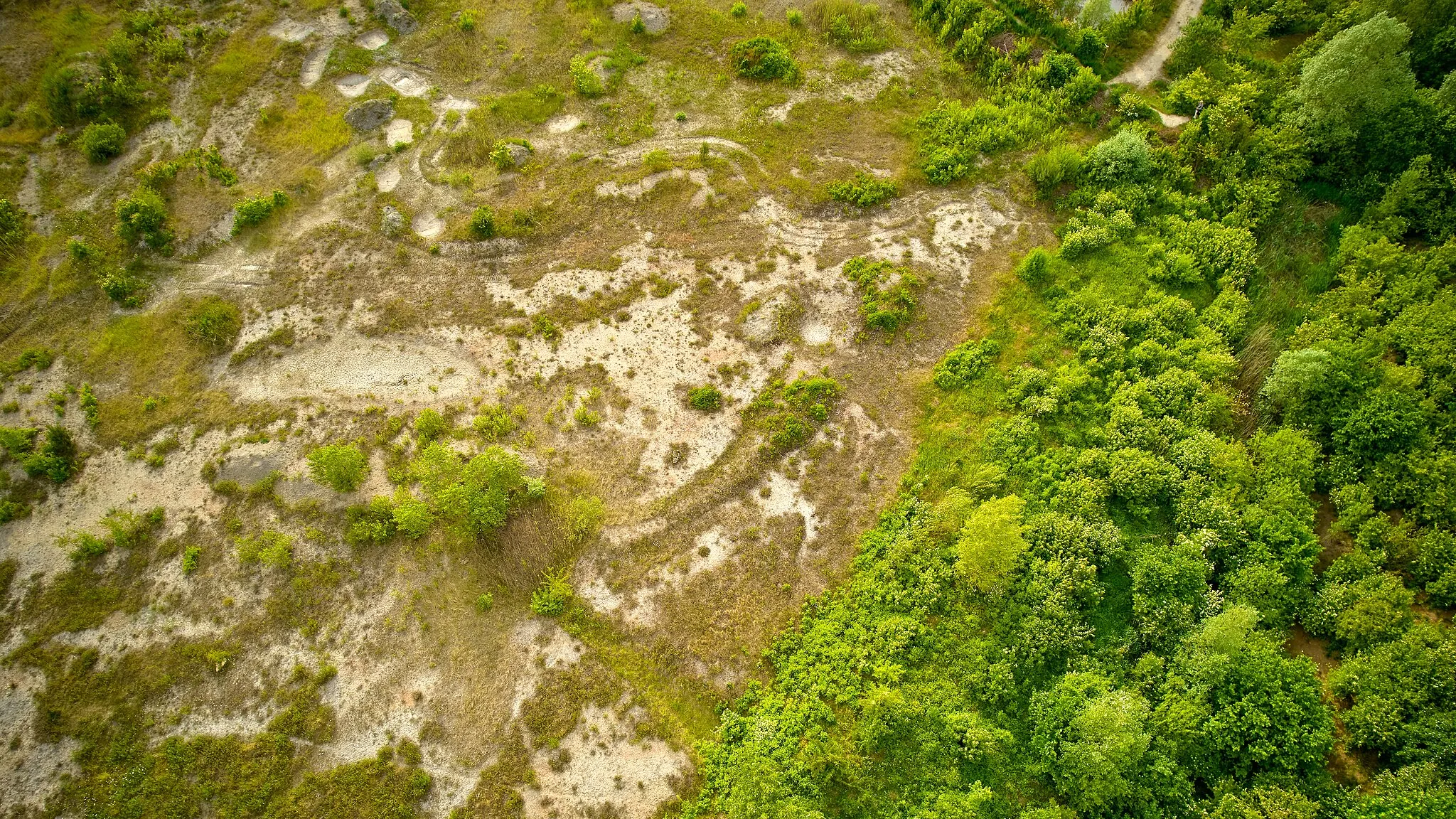 Photo showing: Die ehemalige Tongrube ist nun ein Tierschutzgebiet