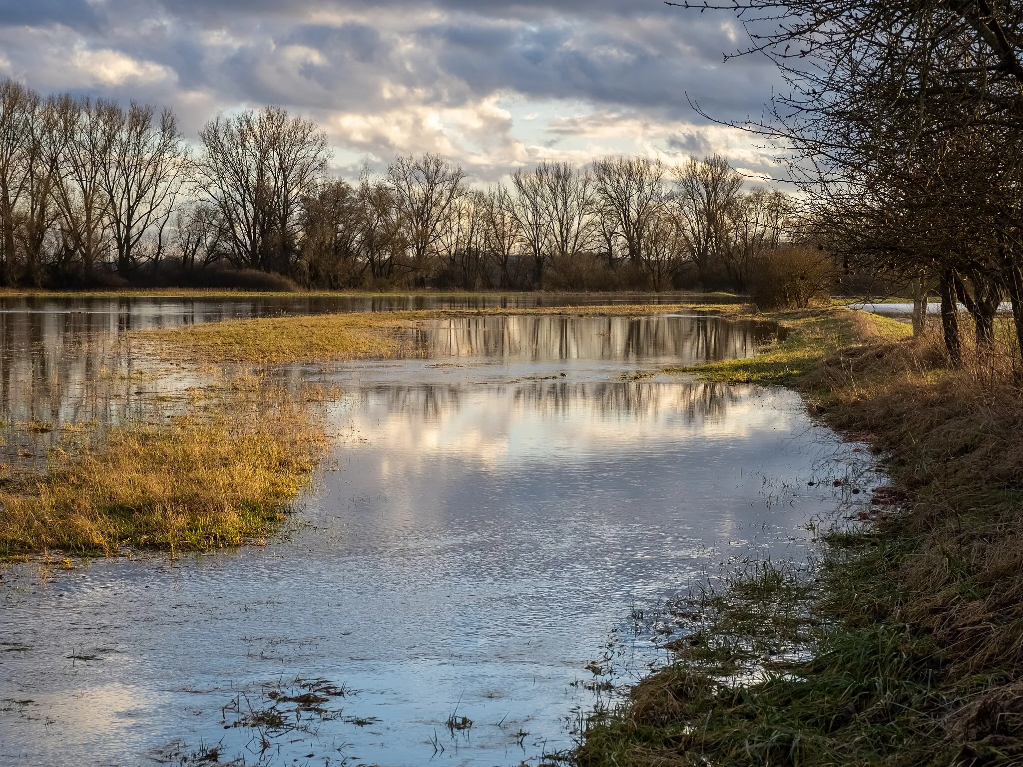 Photo showing: Flood 2022 near Rattelsdorf