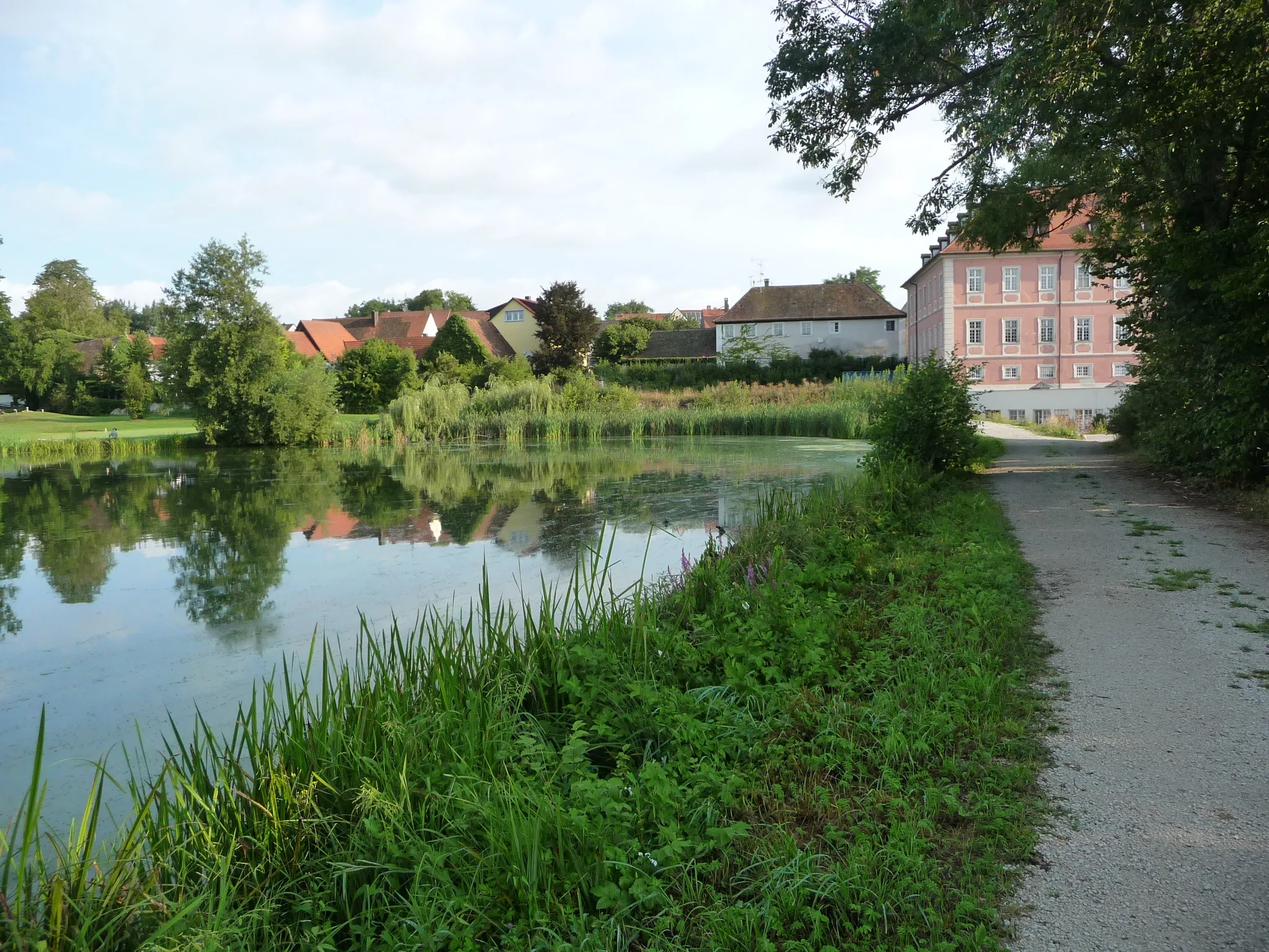 Photo showing: Dorfsee Reichmannsdorf im Landkreis Bamberg in Oberfranken.