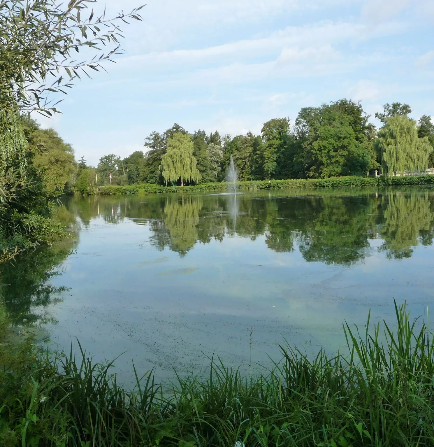 Photo showing: Dorfsee Reichmannsdorf