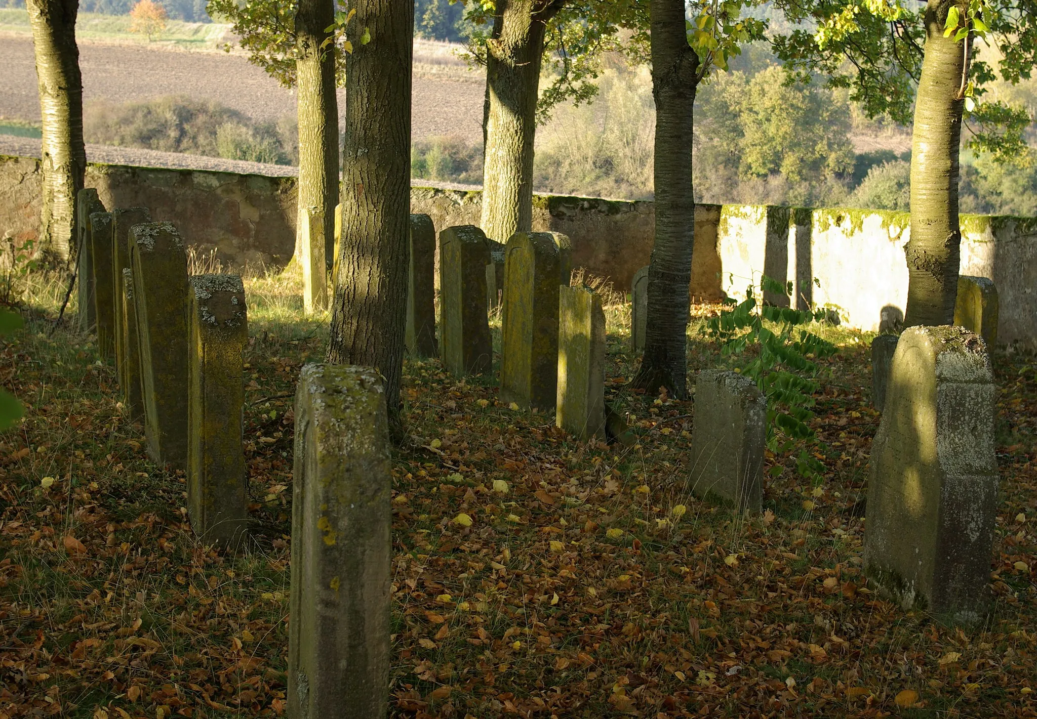 Photo showing: Jüdischer Friedhof in Reichmannsdorf (Schlüsselfeld)