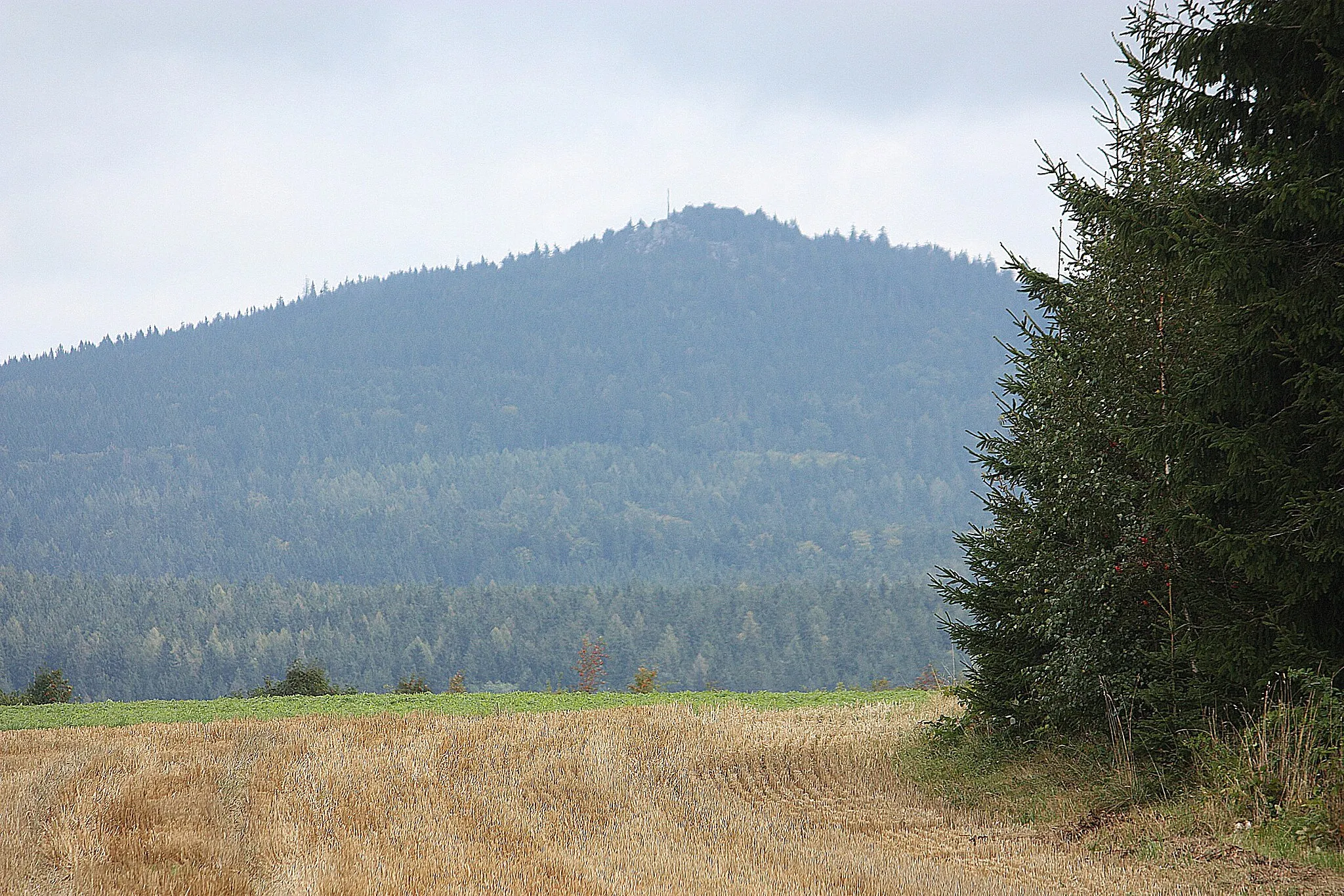 Photo showing: Brand (Oberpfalz), view to the mountain Köseine