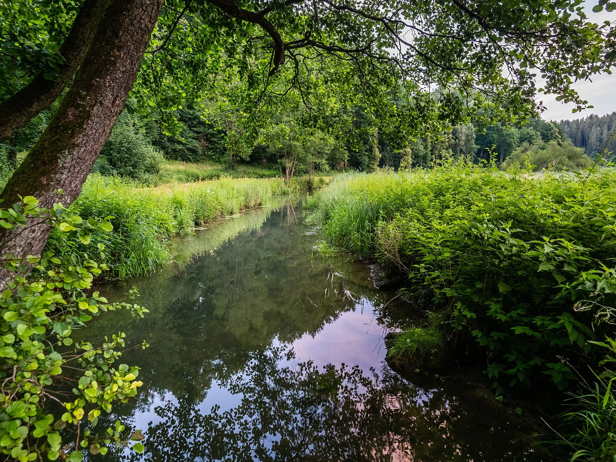 Photo showing: Aufseßtal near Aufseß