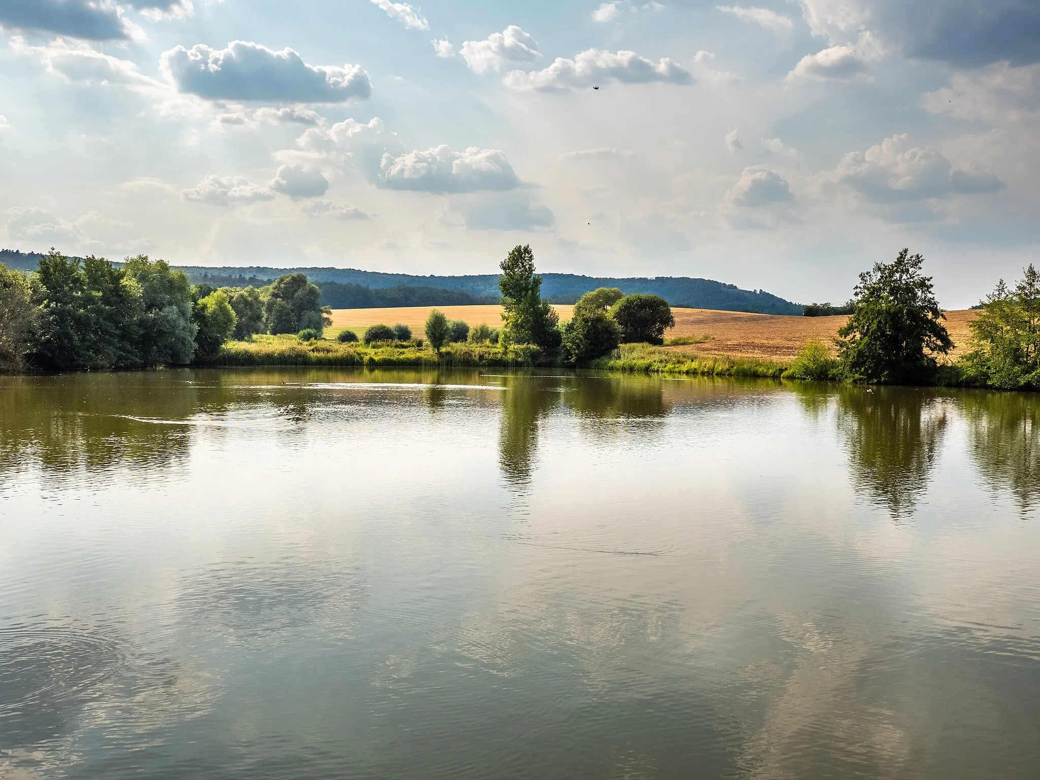 Photo showing: Carp pond in Klosterlangheim