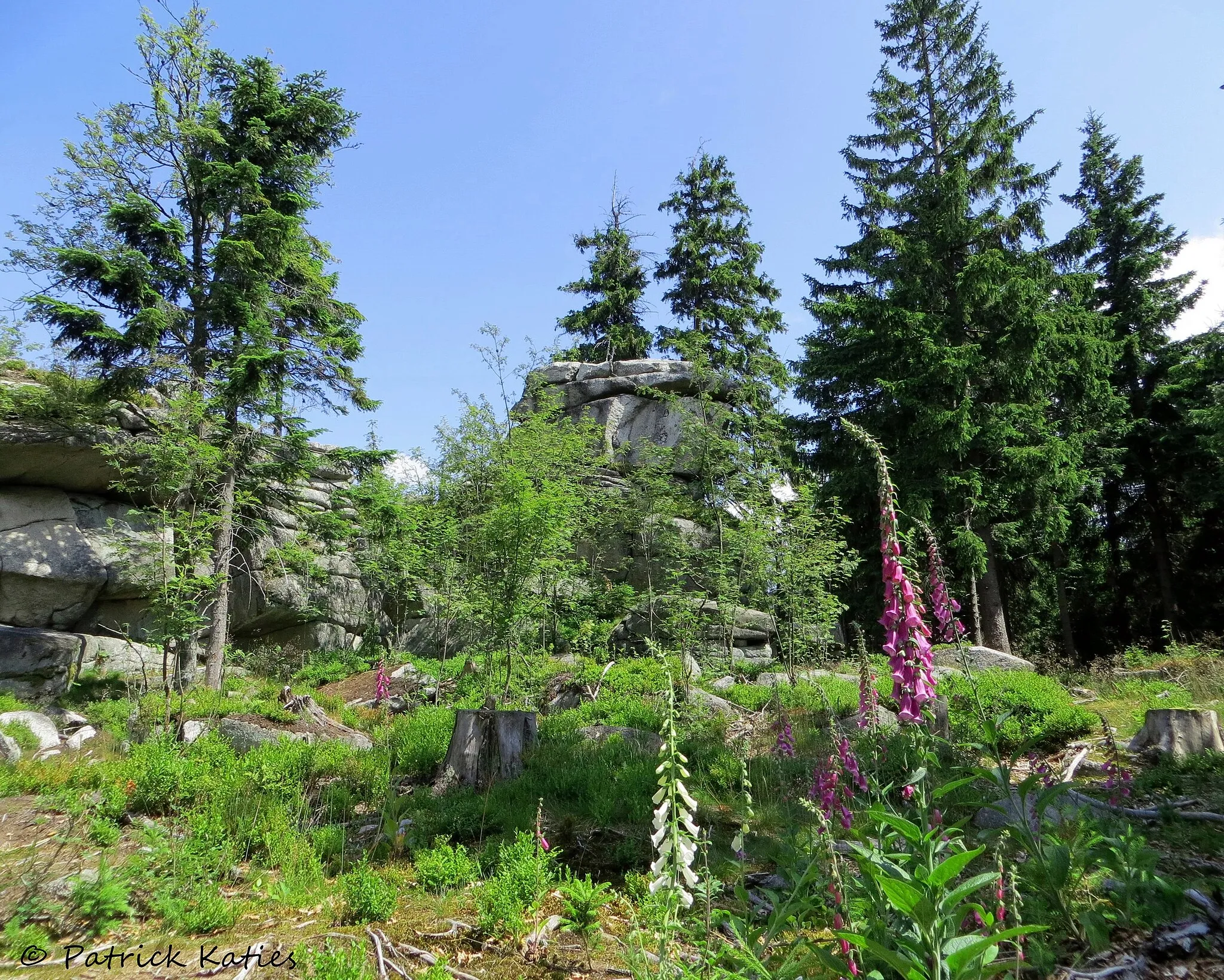 Photo showing: Am Kammweg gelegene Schoßfelsen