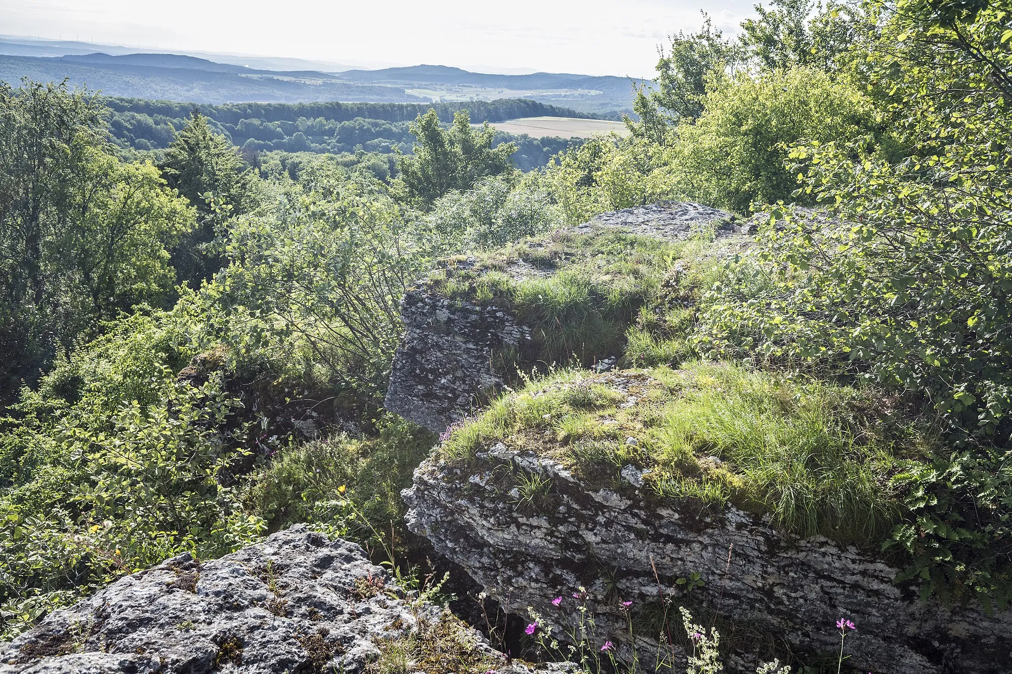 Photo showing: FFH-Gebiet "Albtrauf im Landkreis Lichtenfels", Vogelschutzgebiet "Felsen- und Hangwaelder im noerdlichen Frankenjura"