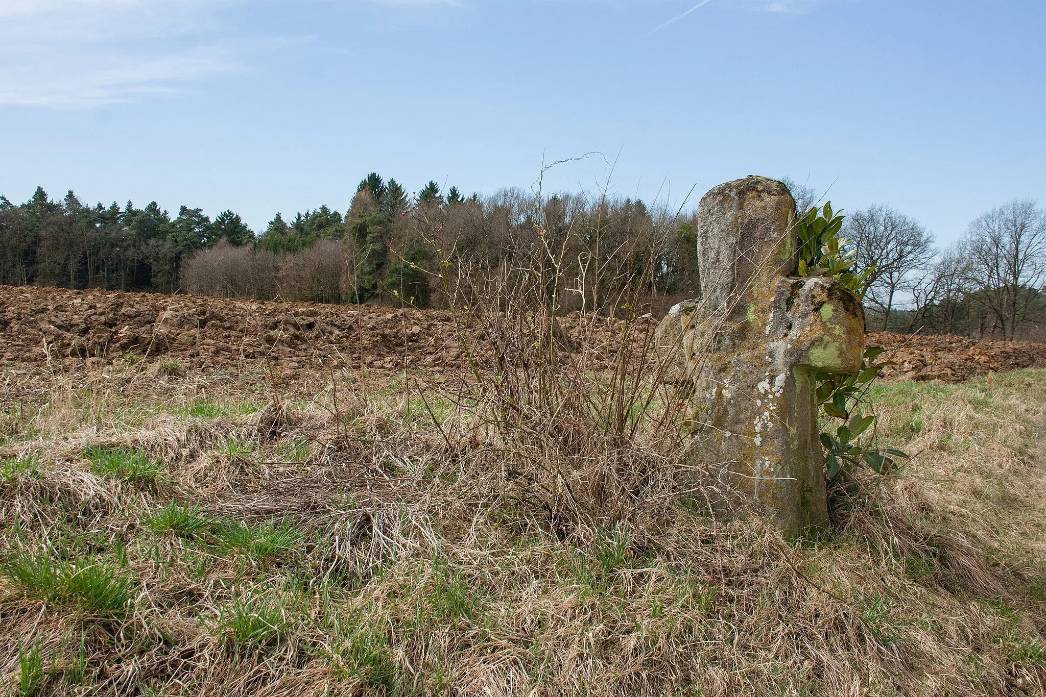 Photo showing: Steinkreuz, Ziegelhütte, Lauf a.d. Pegnitz, Sicht auf Standort