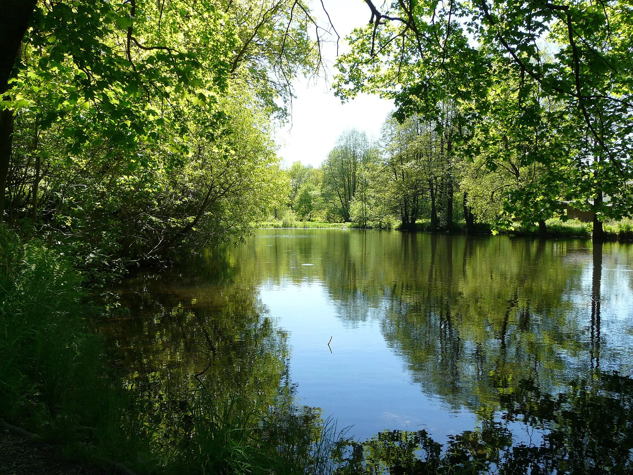 Photo showing: town park Wurzbach