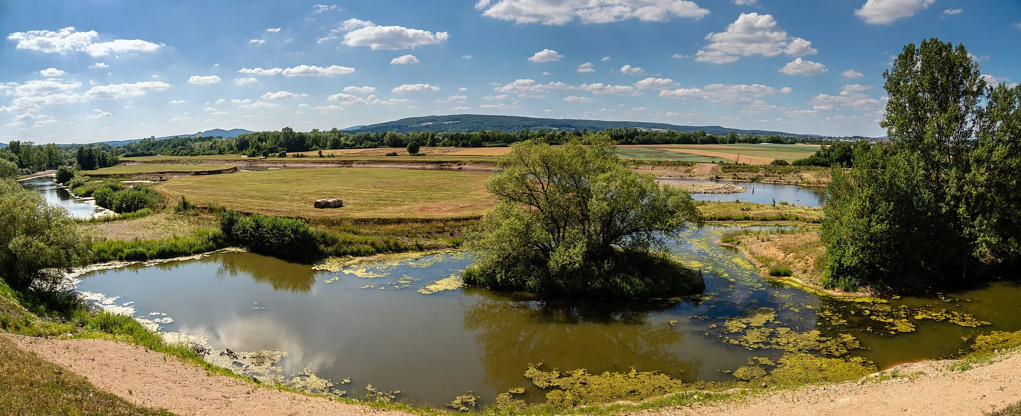 Photo showing: Renatured section of the Main river between Breitengüßbach and Ebing