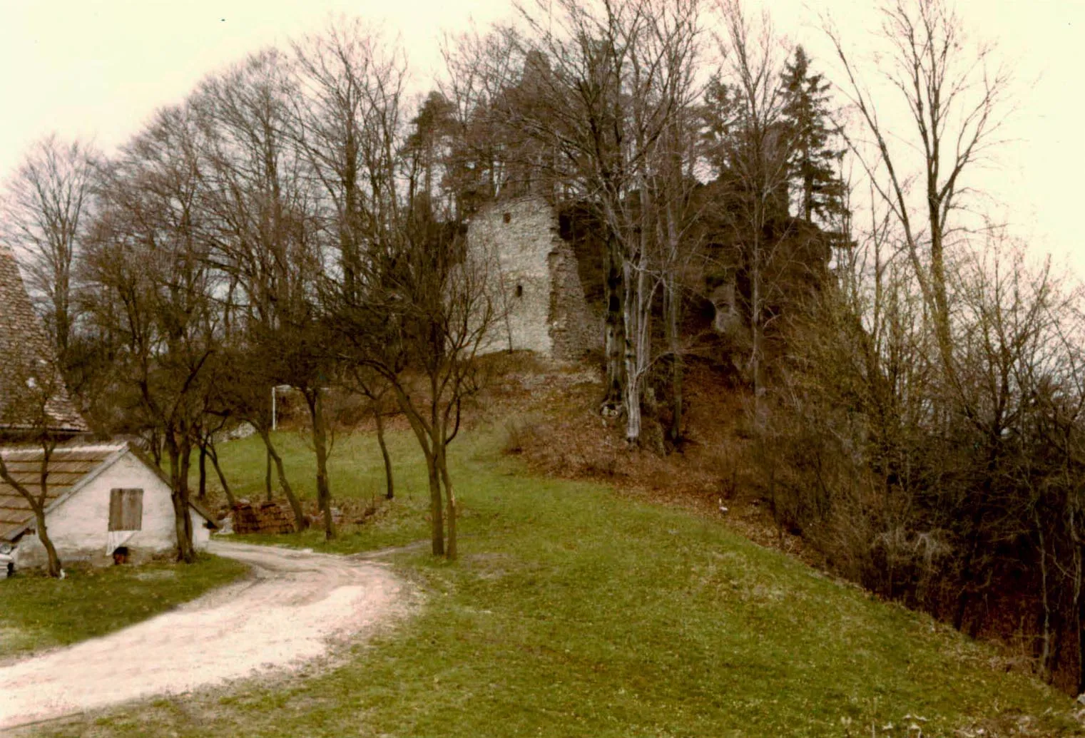 Photo showing: Burg Wildenfels