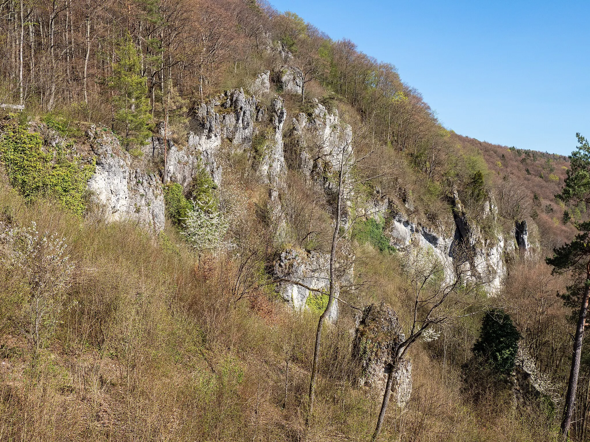 Photo showing: South side of Hohler Berg near Muggendorf