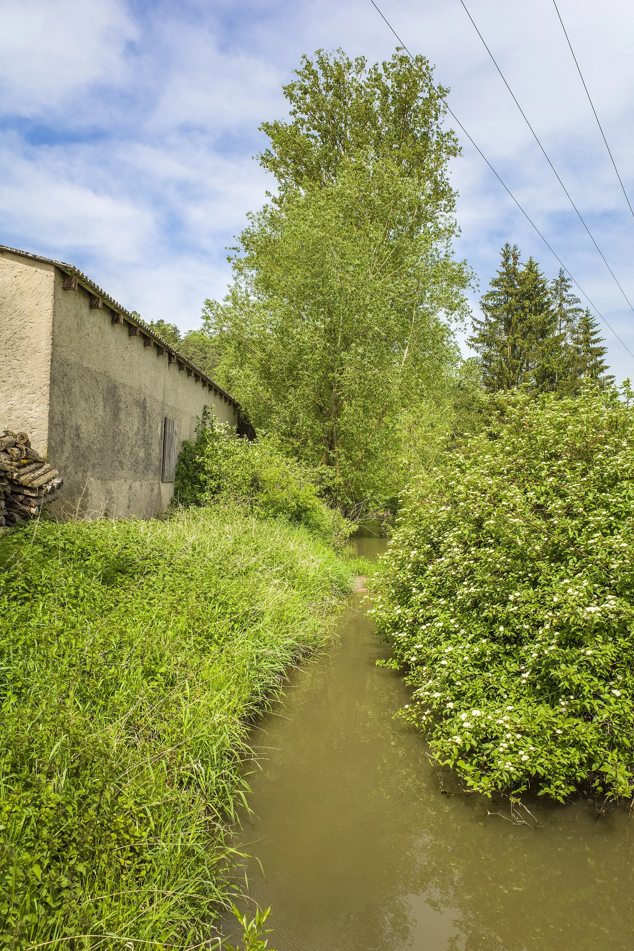 Photo showing: Die Aurach südlich von Zettelsdorf, im FFH-Gebiet "Mittleres Aurach-Tal von Priesendorf bis Walsdorf"