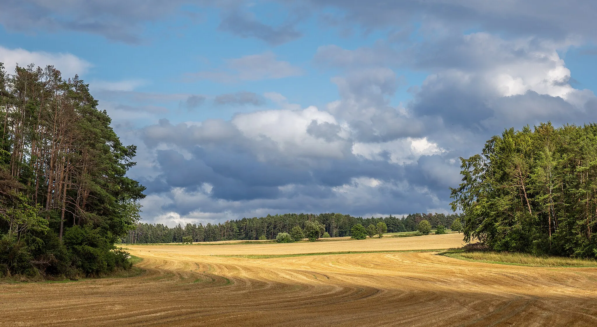 Photo showing: Landscape near Zochenreuth in the district of Bayreuth