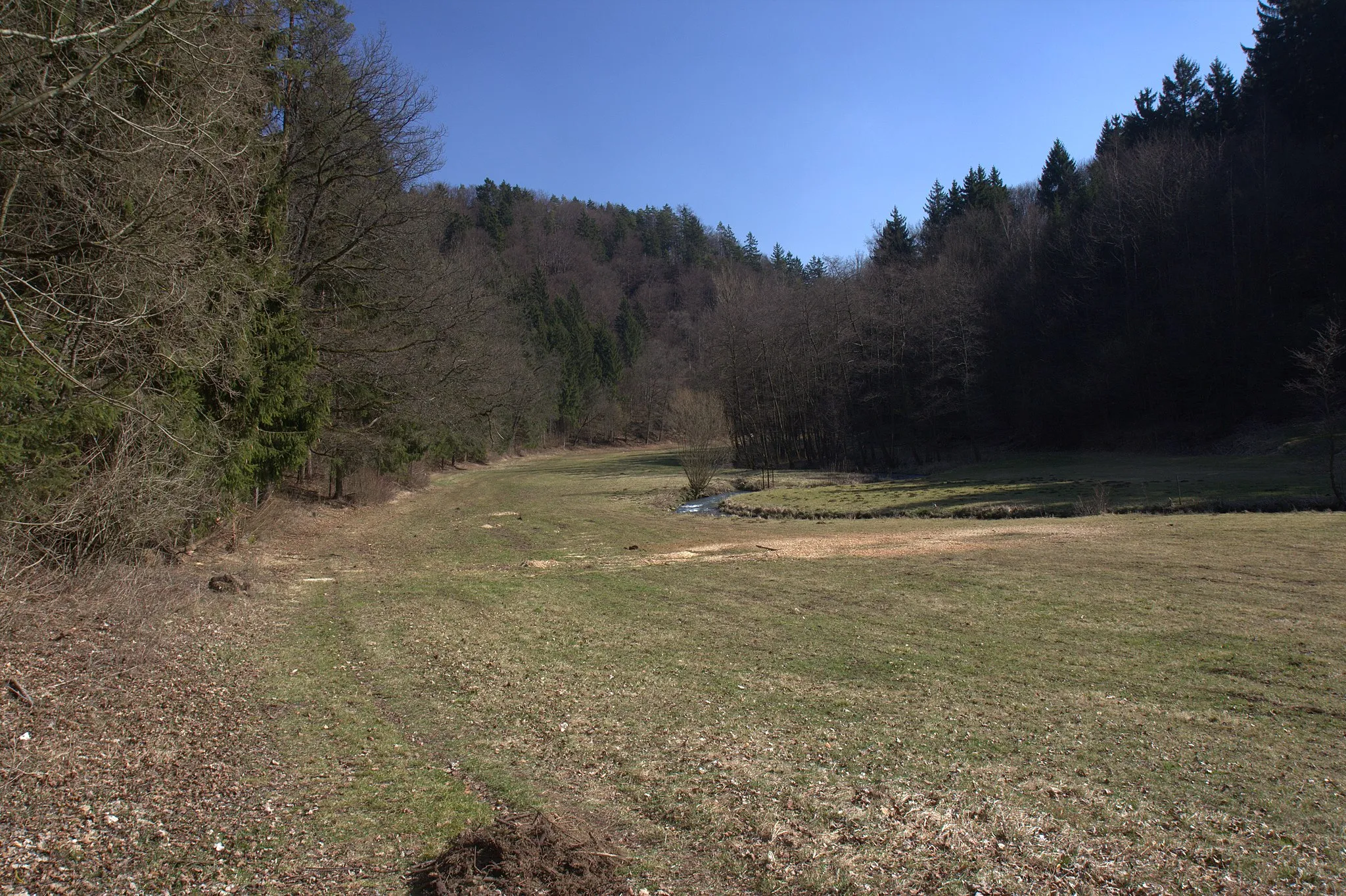 Photo showing: Burgstall Vestenberg - Ansicht des Burgberges über dem Ailsbachtal aus nördlicher Richtung