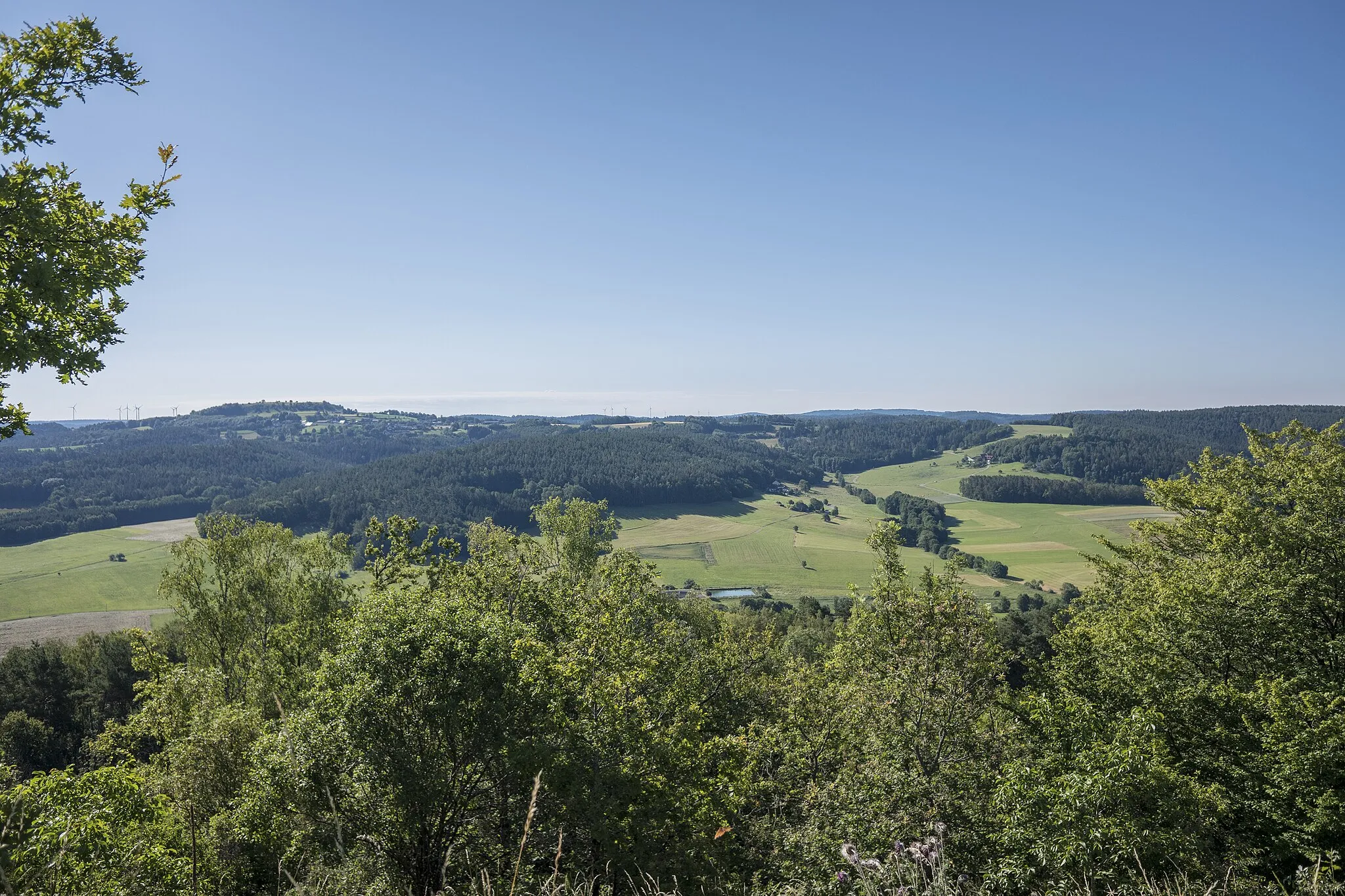 Photo showing: LSG "Fränkische Schweiz - Veldensteiner Forst" im Regierungsbezirk Oberfranken