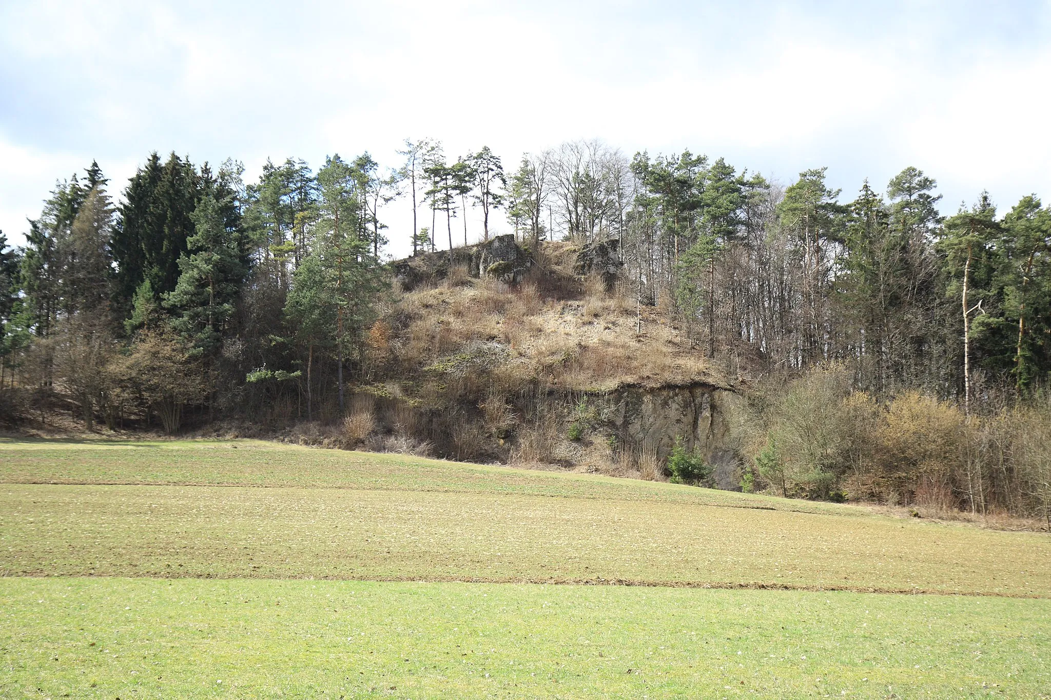 Photo showing: Ansicht des Burgstalls Wartberg aus östlicher Richtung