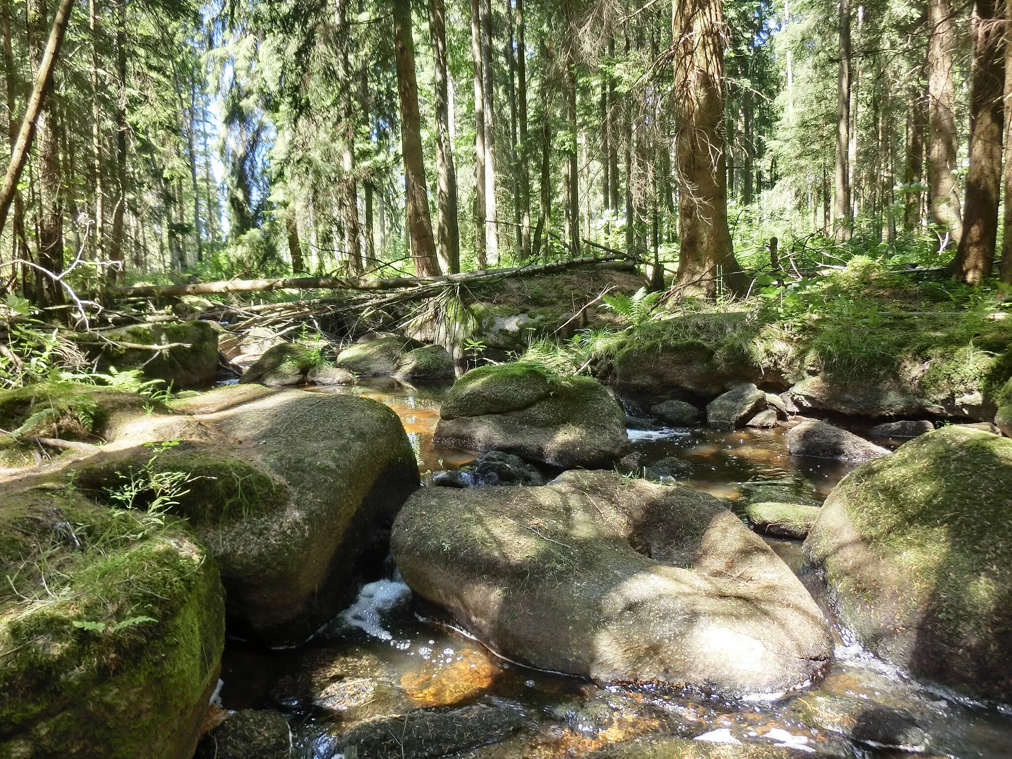 Photo showing: Goldwäscherstein in der Gregnitz